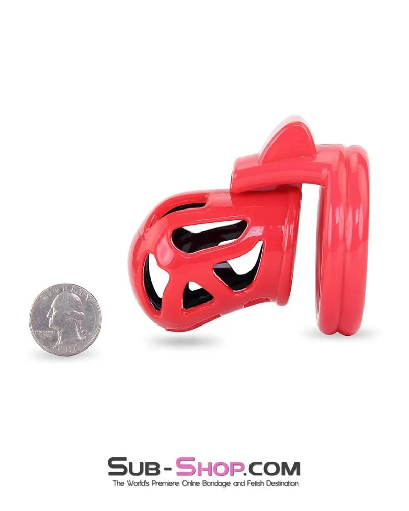 3445AE-SIS      Chastity Sissy Cocktease and Torment Sensation Cage High Security Locking Male Chastity Device