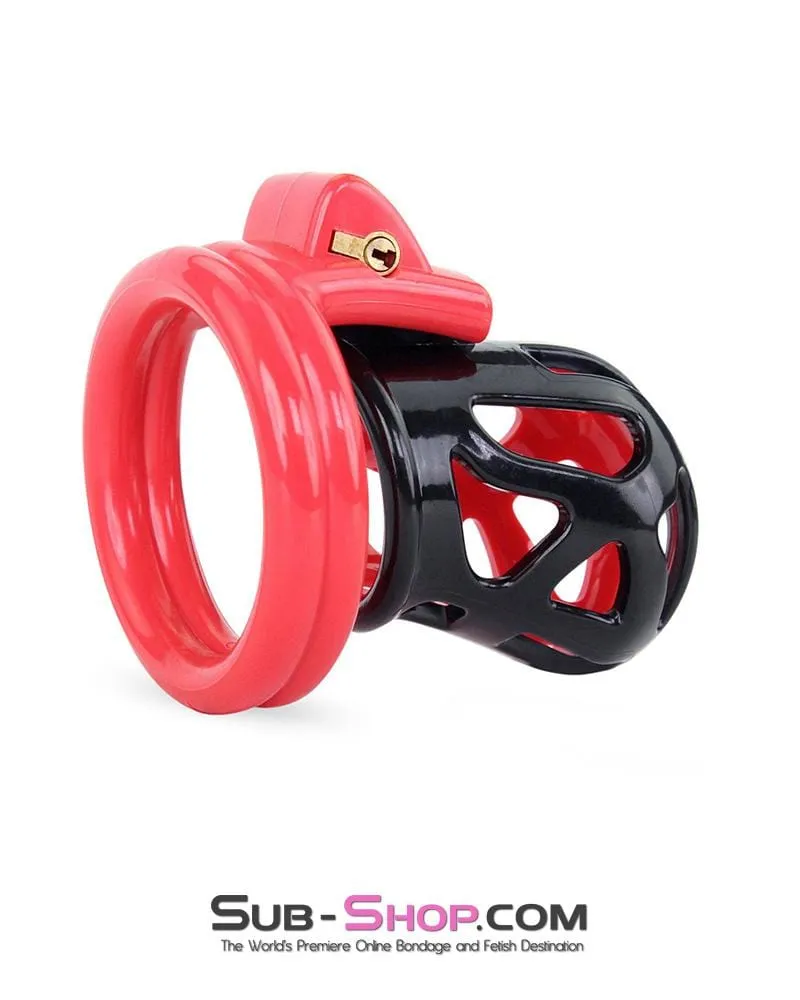 3445AE-SIS      Chastity Sissy Cocktease and Torment Sensation Cage High Security Locking Male Chastity Device