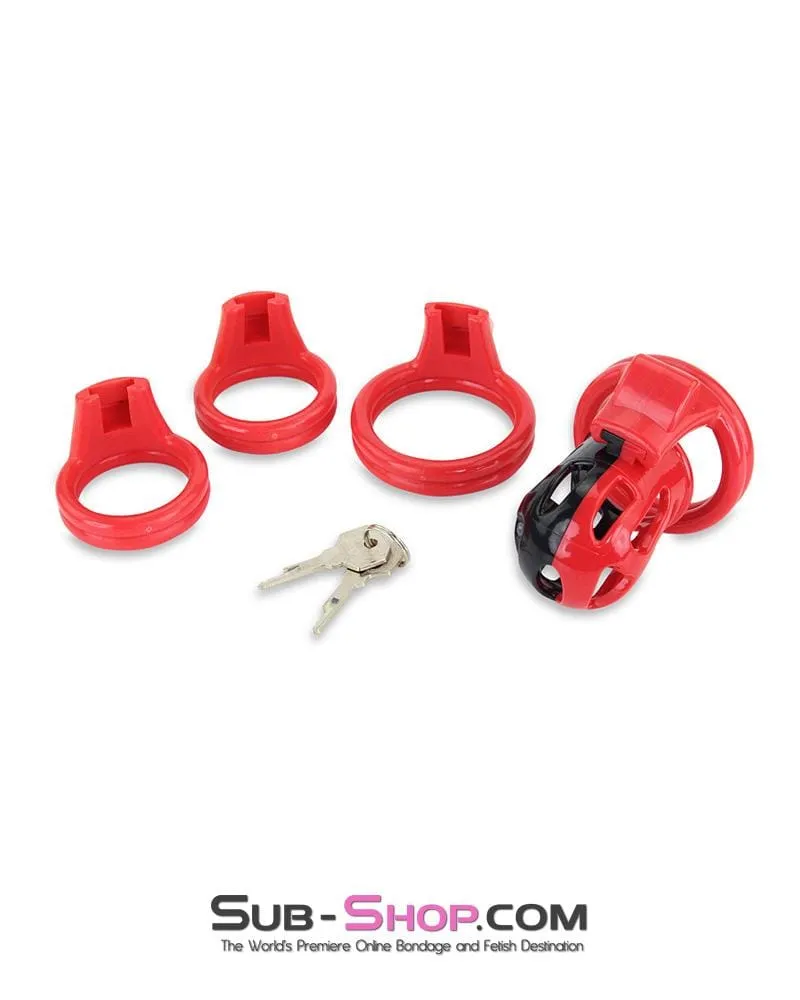 3445AE-SIS      Chastity Sissy Cocktease and Torment Sensation Cage High Security Locking Male Chastity Device