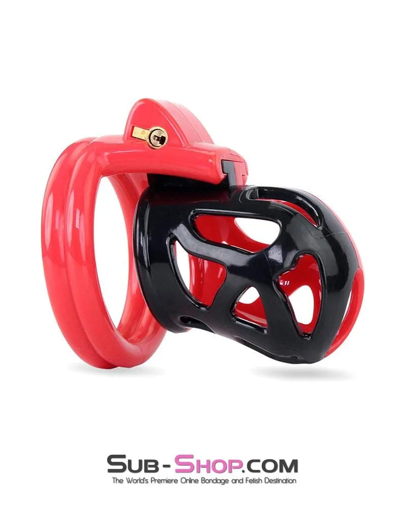 3445AE-SIS      Chastity Sissy Cocktease and Torment Sensation Cage High Security Locking Male Chastity Device