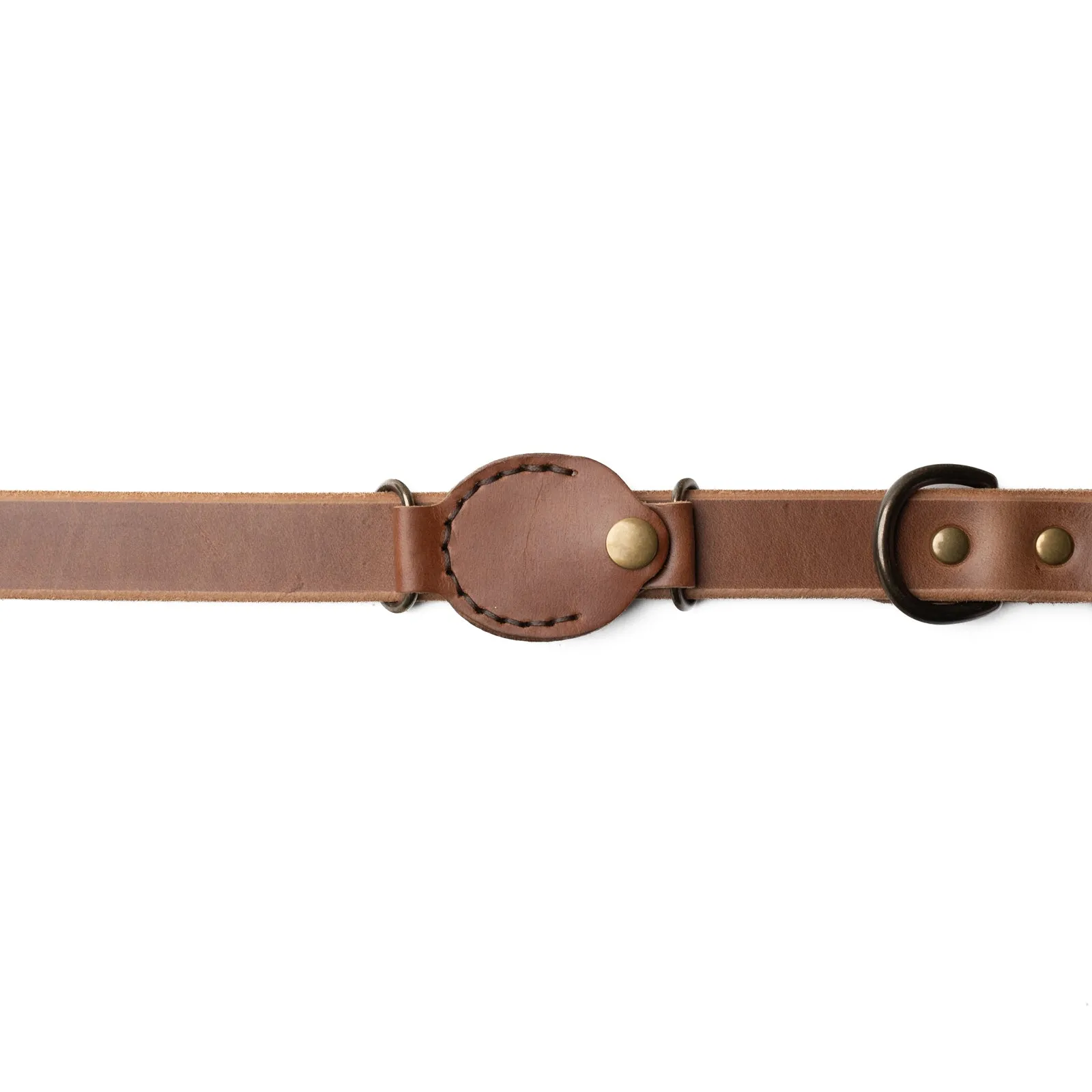 AirTag Dog Collar Companion