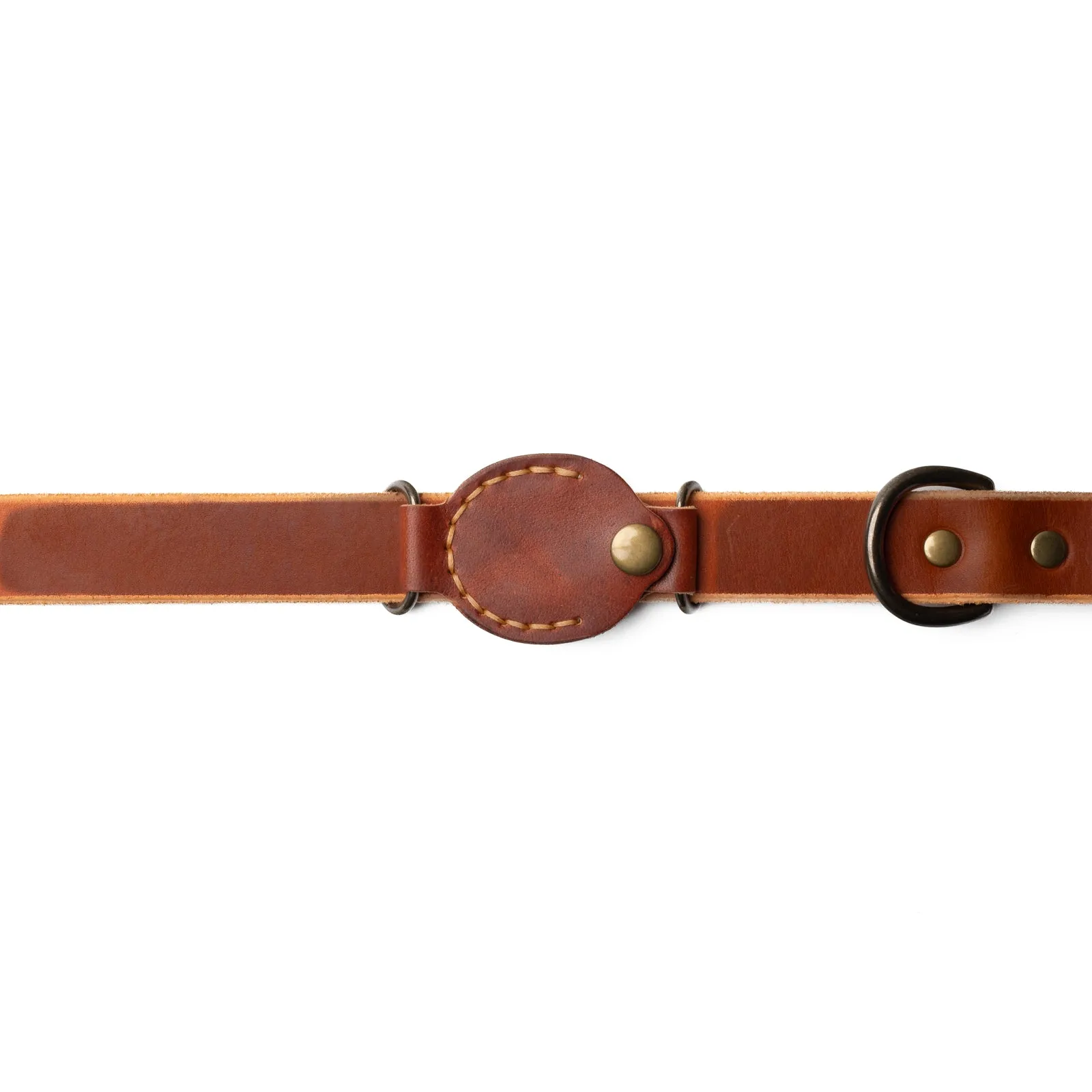 AirTag Dog Collar Companion