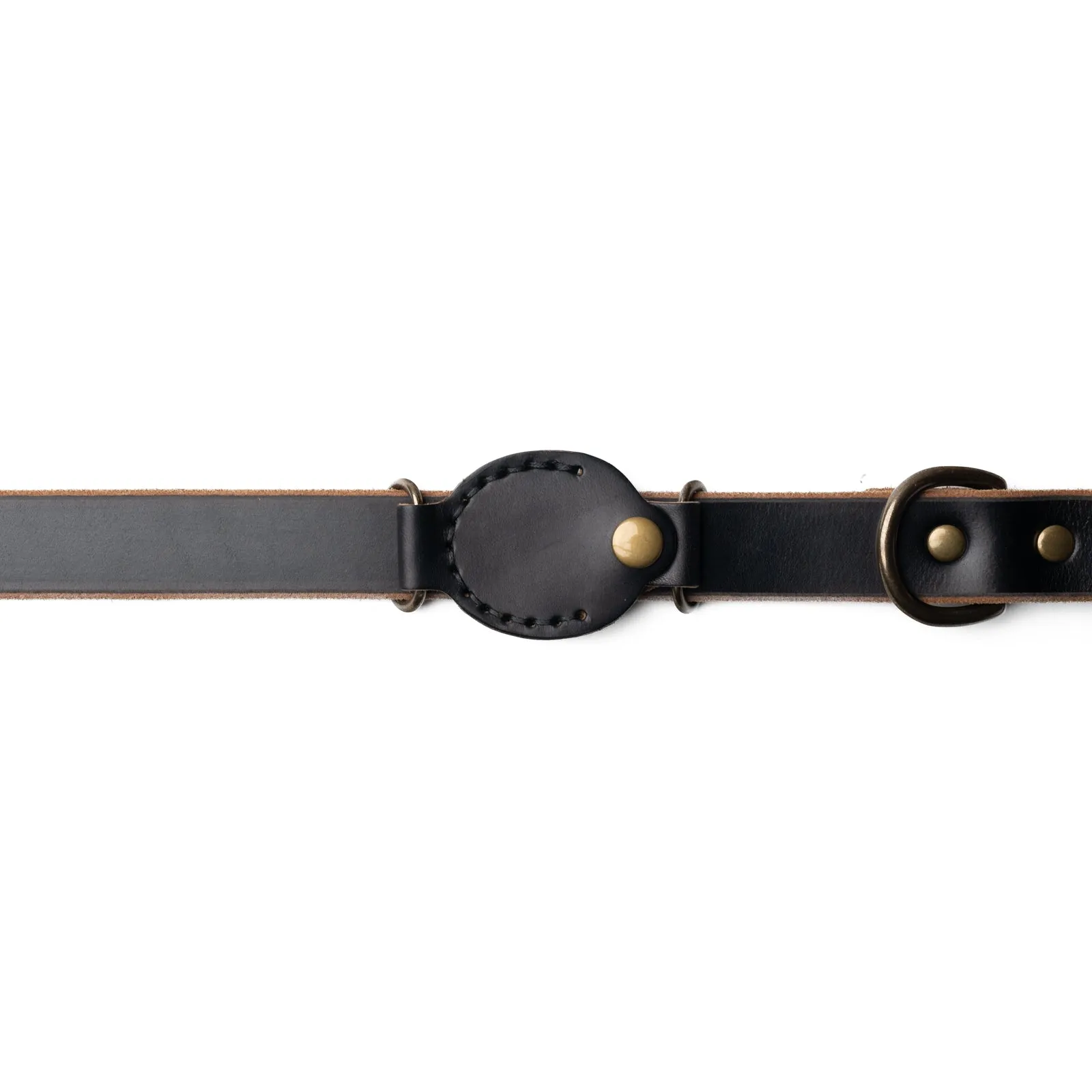 AirTag Dog Collar Companion