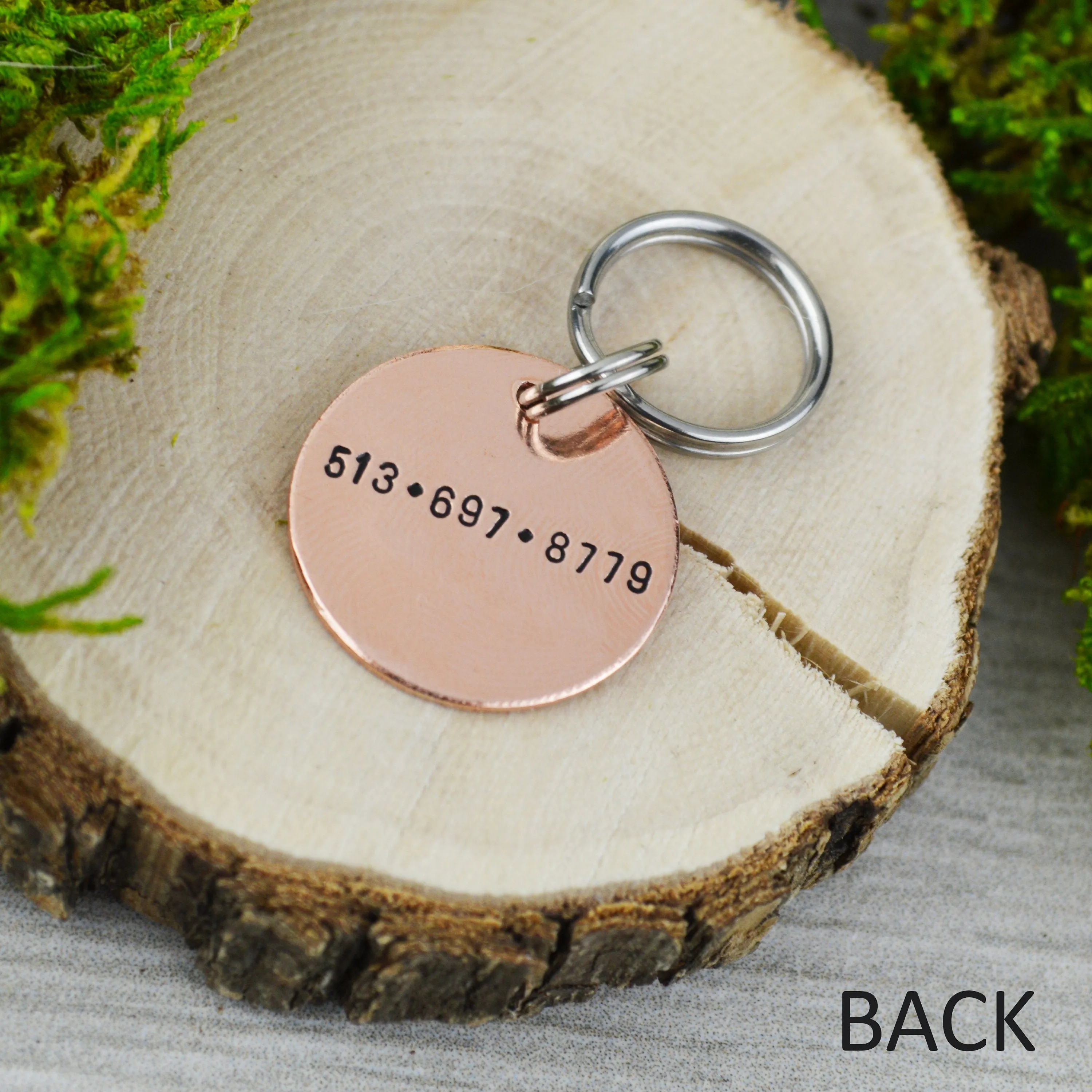 Among the Stars Mini Pet ID Tag