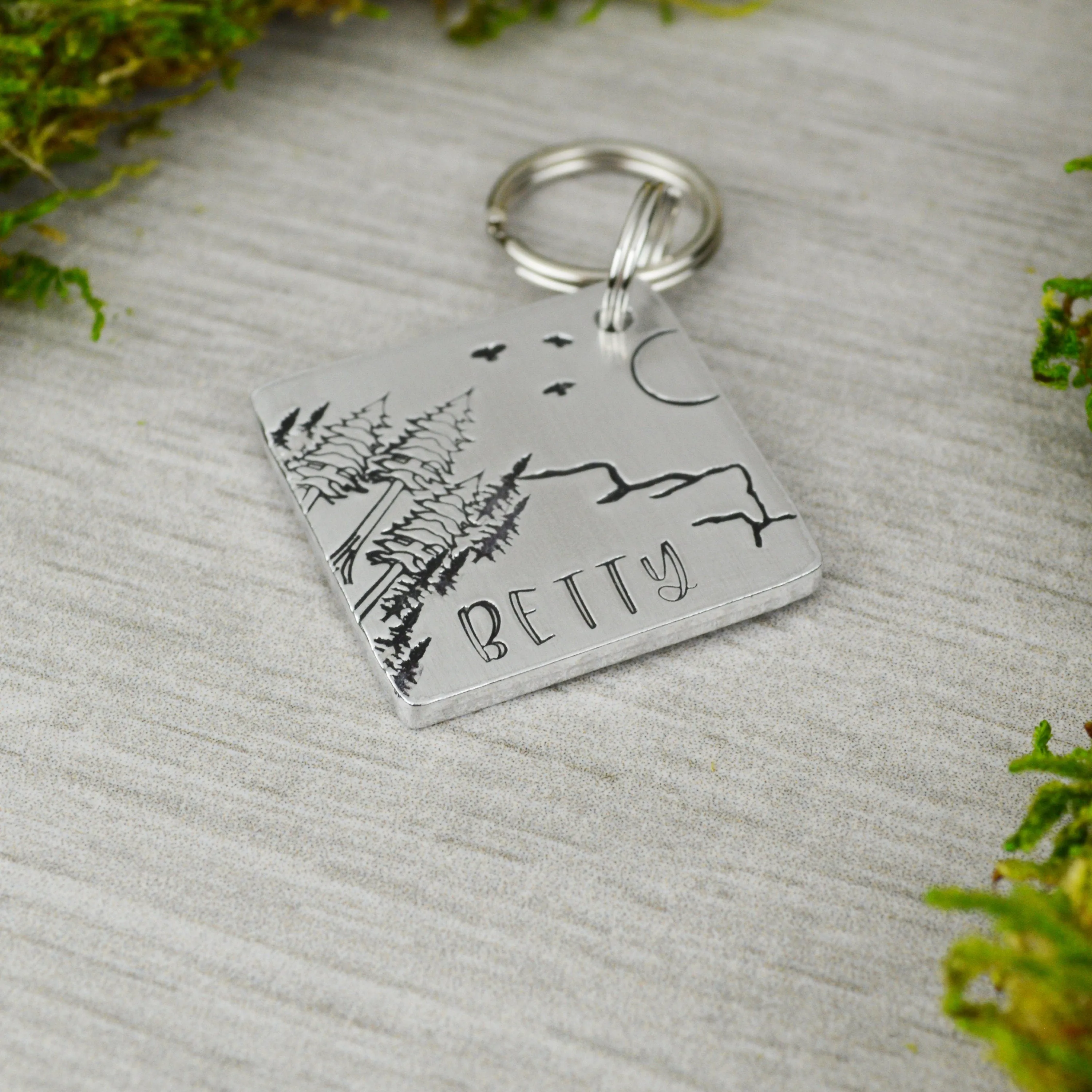 Bird's Eye View Pet ID Tag