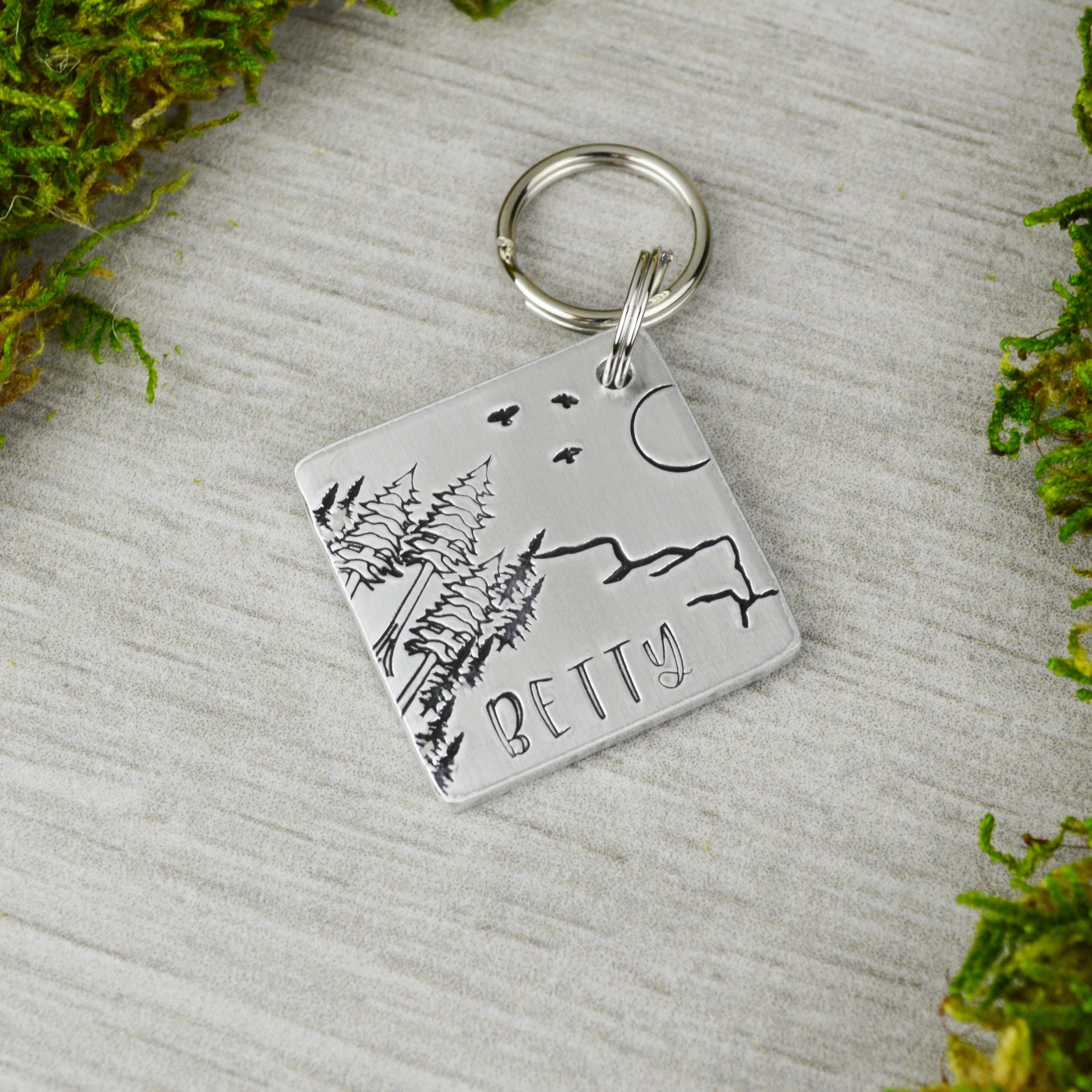 Bird's Eye View Pet ID Tag