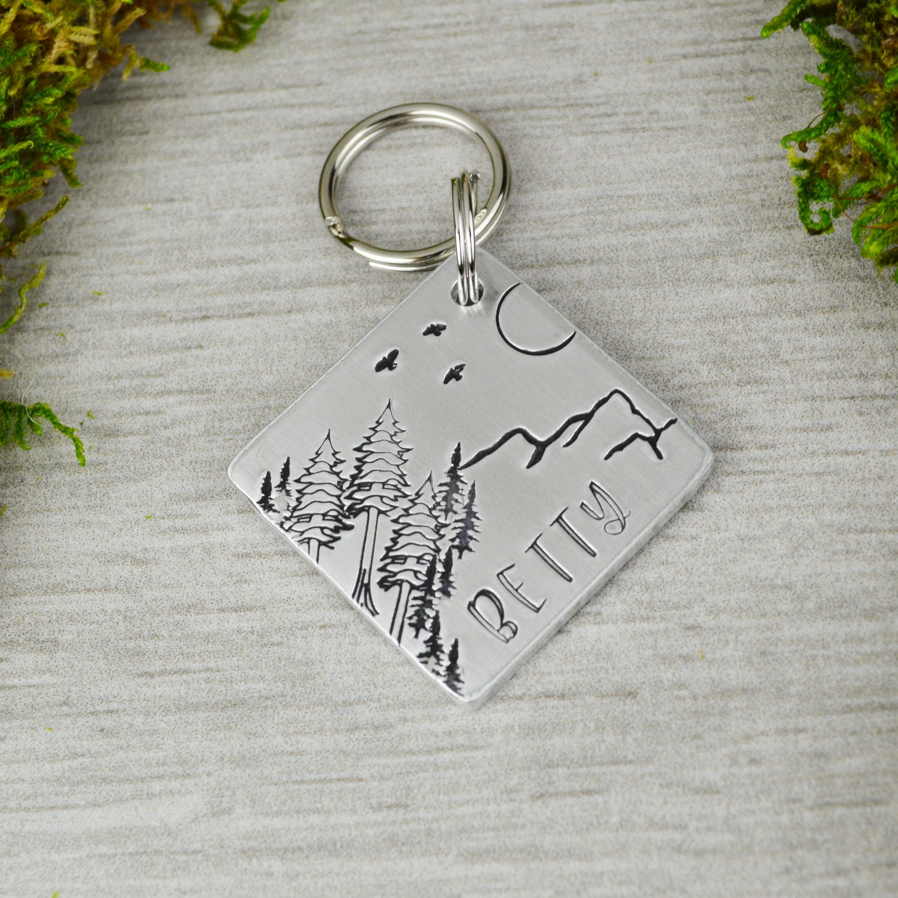 Bird's Eye View Pet ID Tag