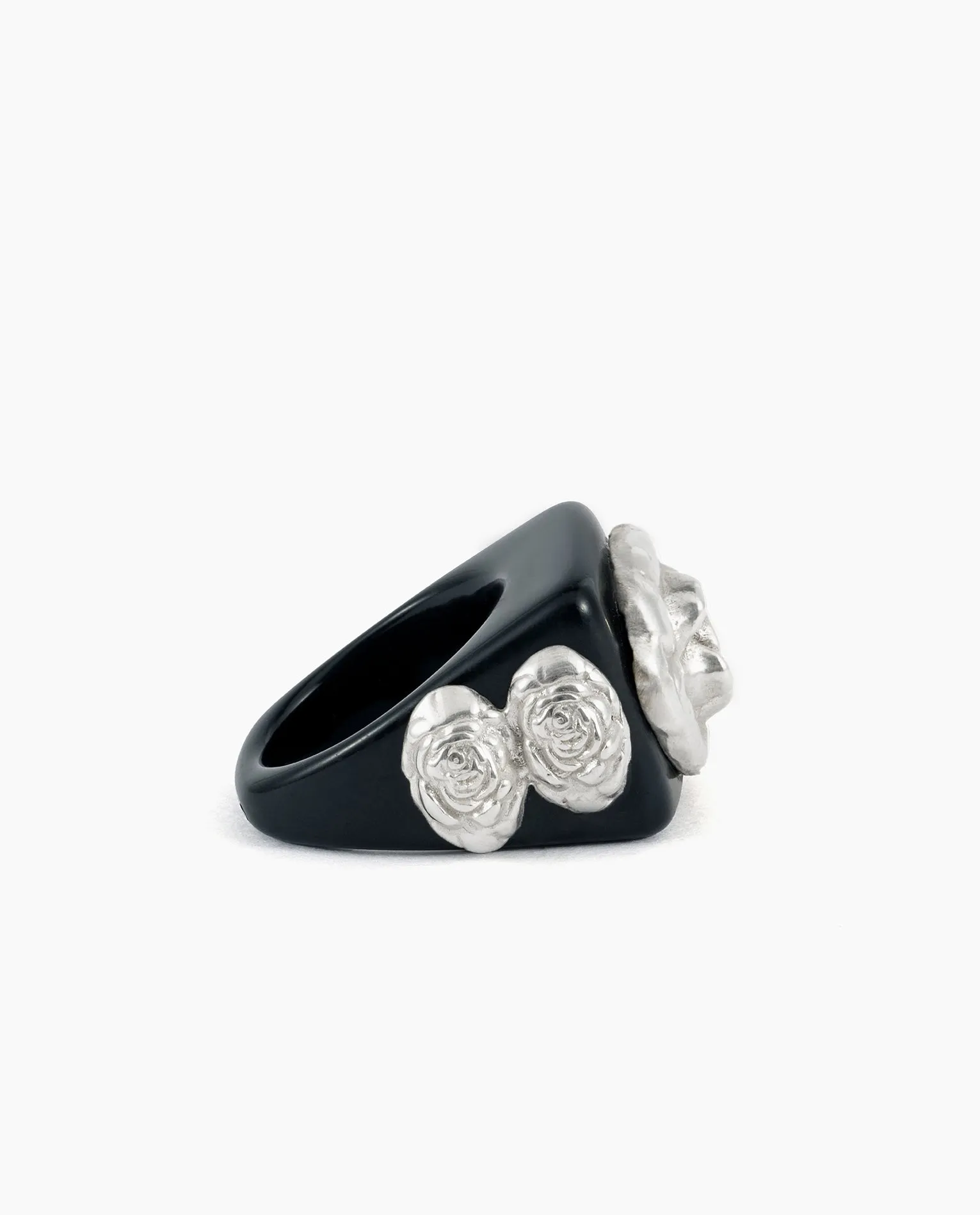 Black on Silver Rosetón