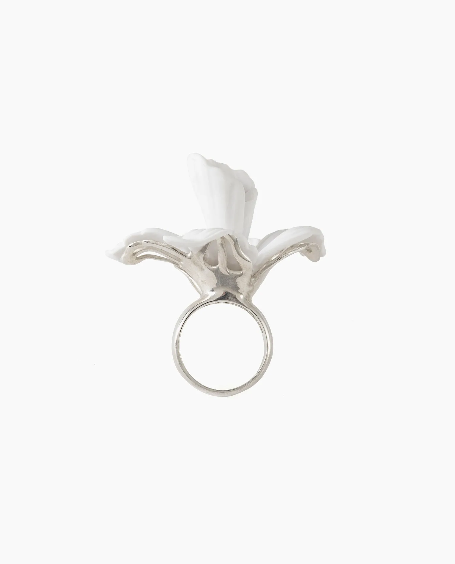 Bodas de Papel
