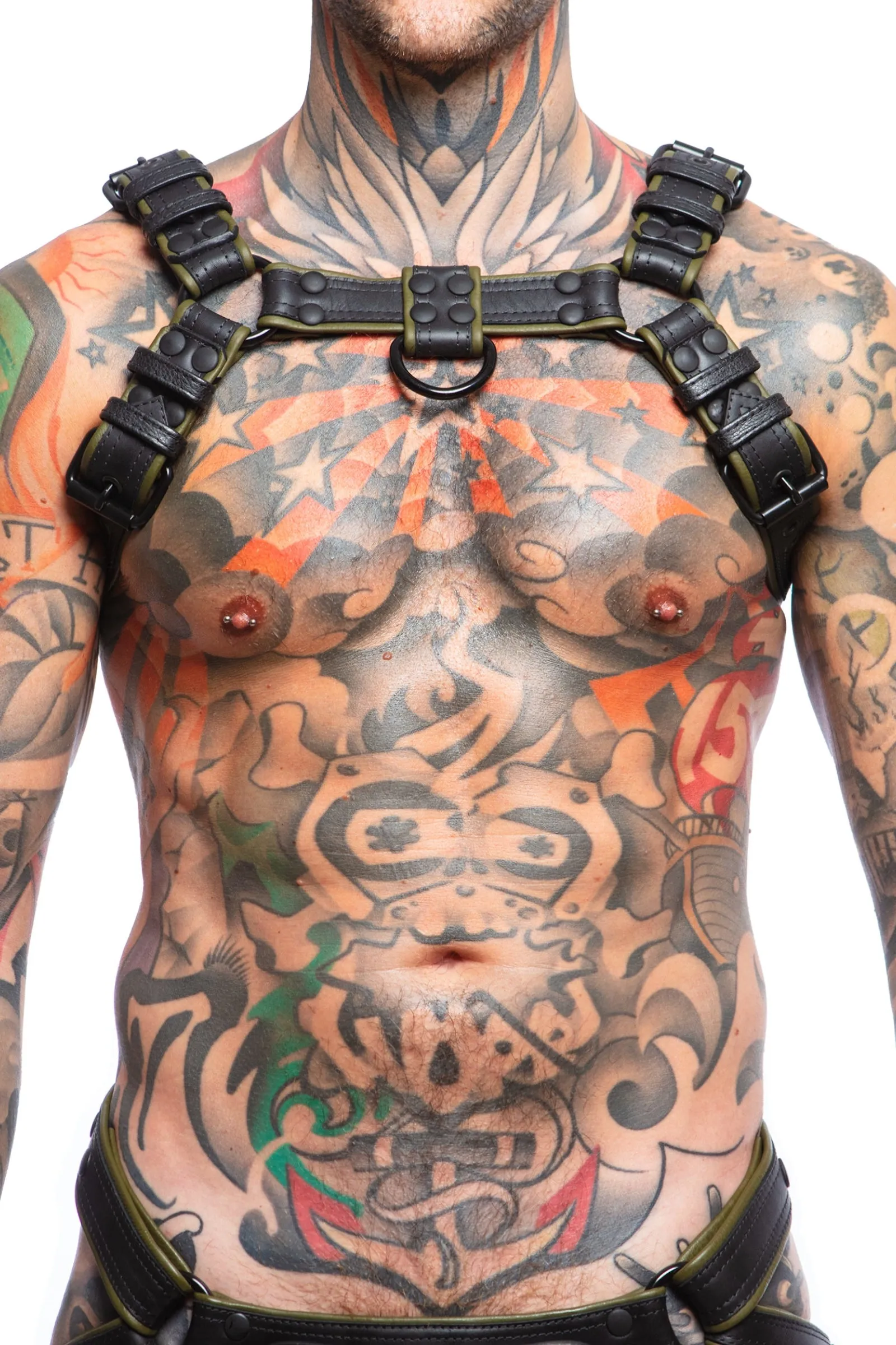 COMBAT BULLDOG - Colour