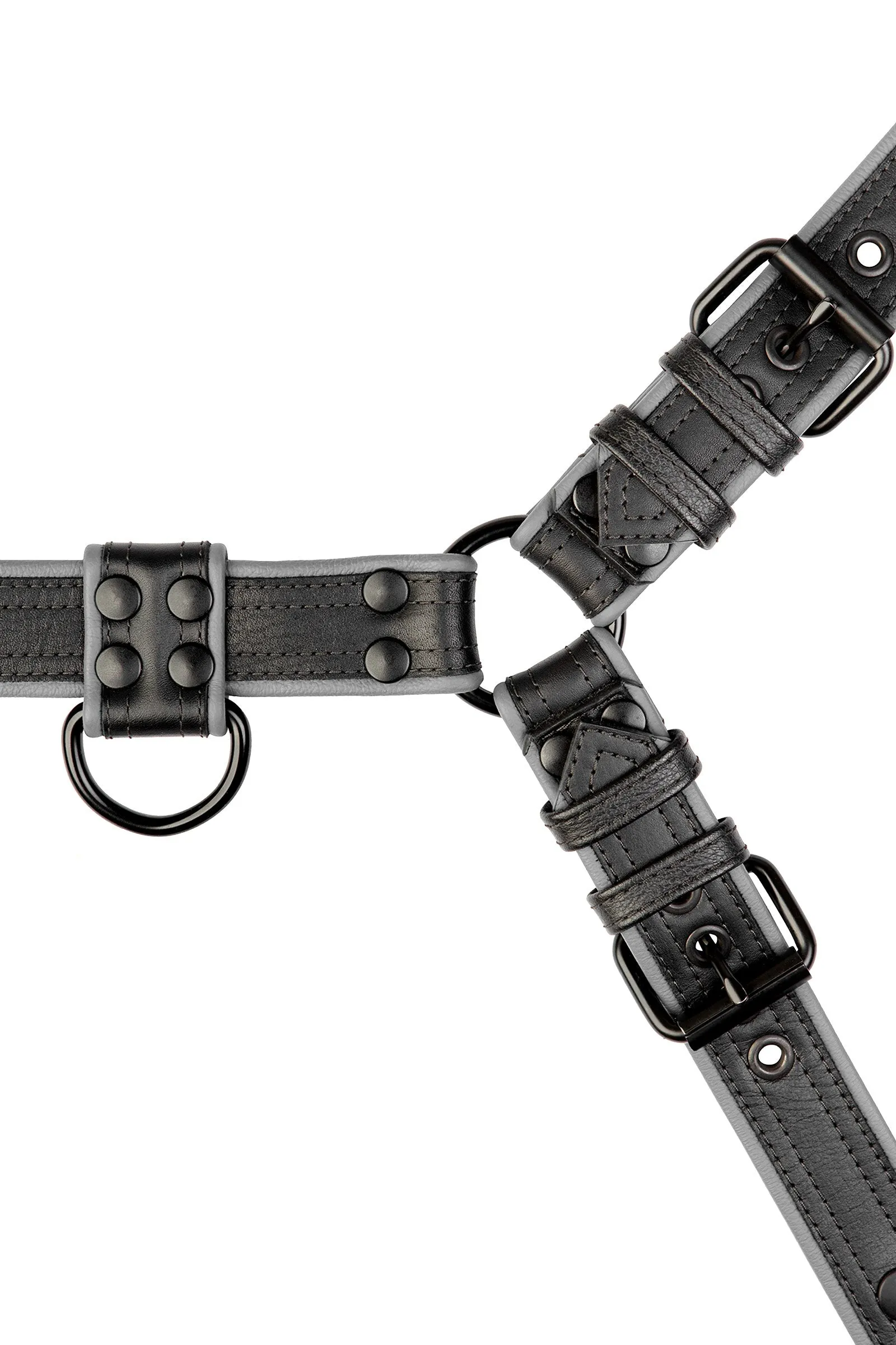 COMBAT BULLDOG - Colour