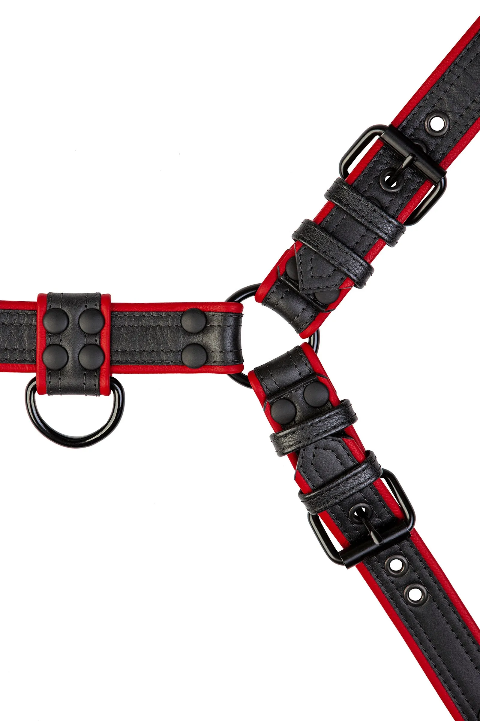 COMBAT BULLDOG - Colour