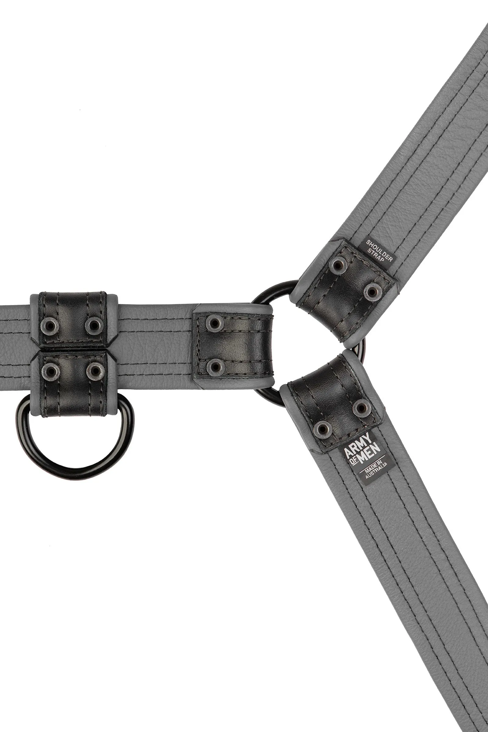 COMBAT BULLDOG - Colour