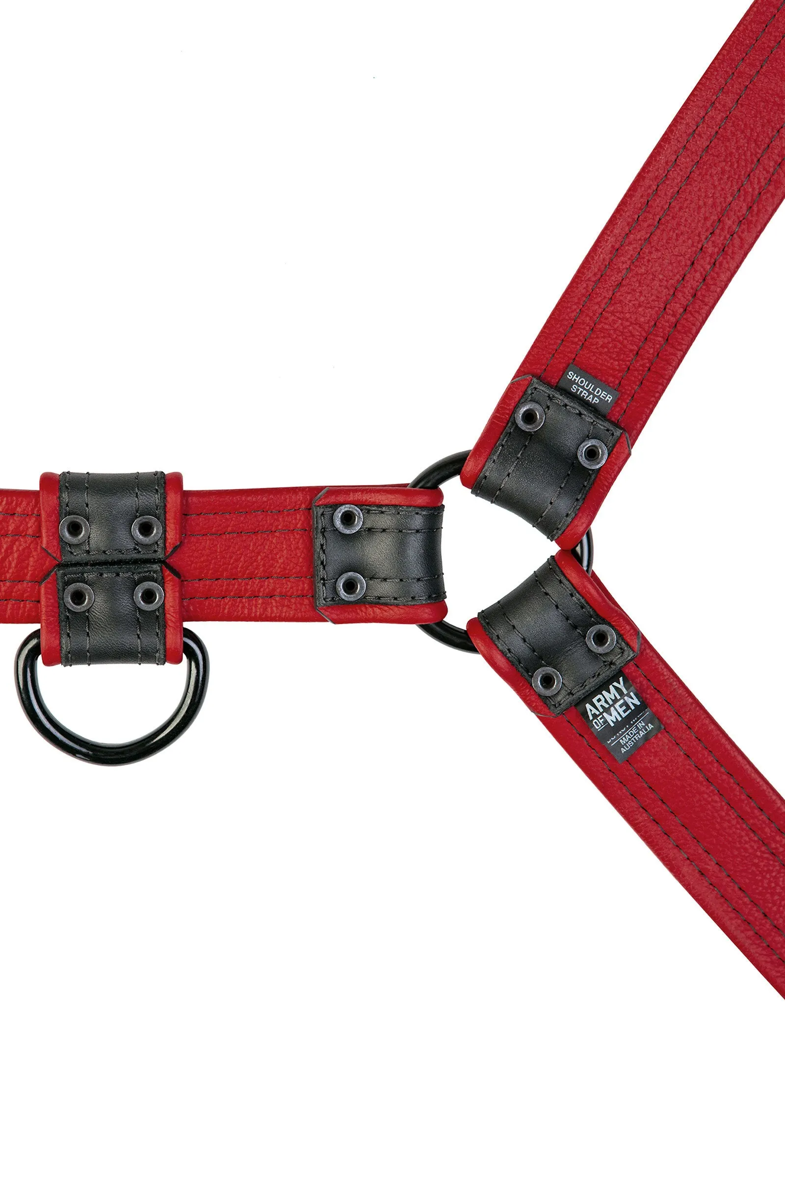 COMBAT BULLDOG - Colour