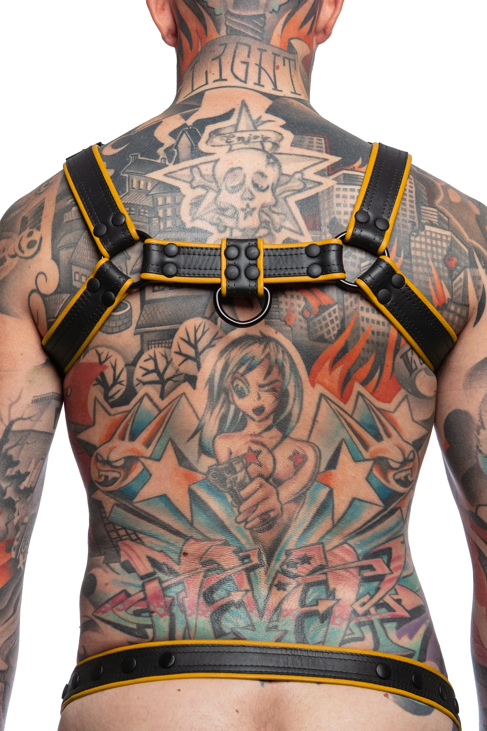 COMBAT BULLDOG - Colour