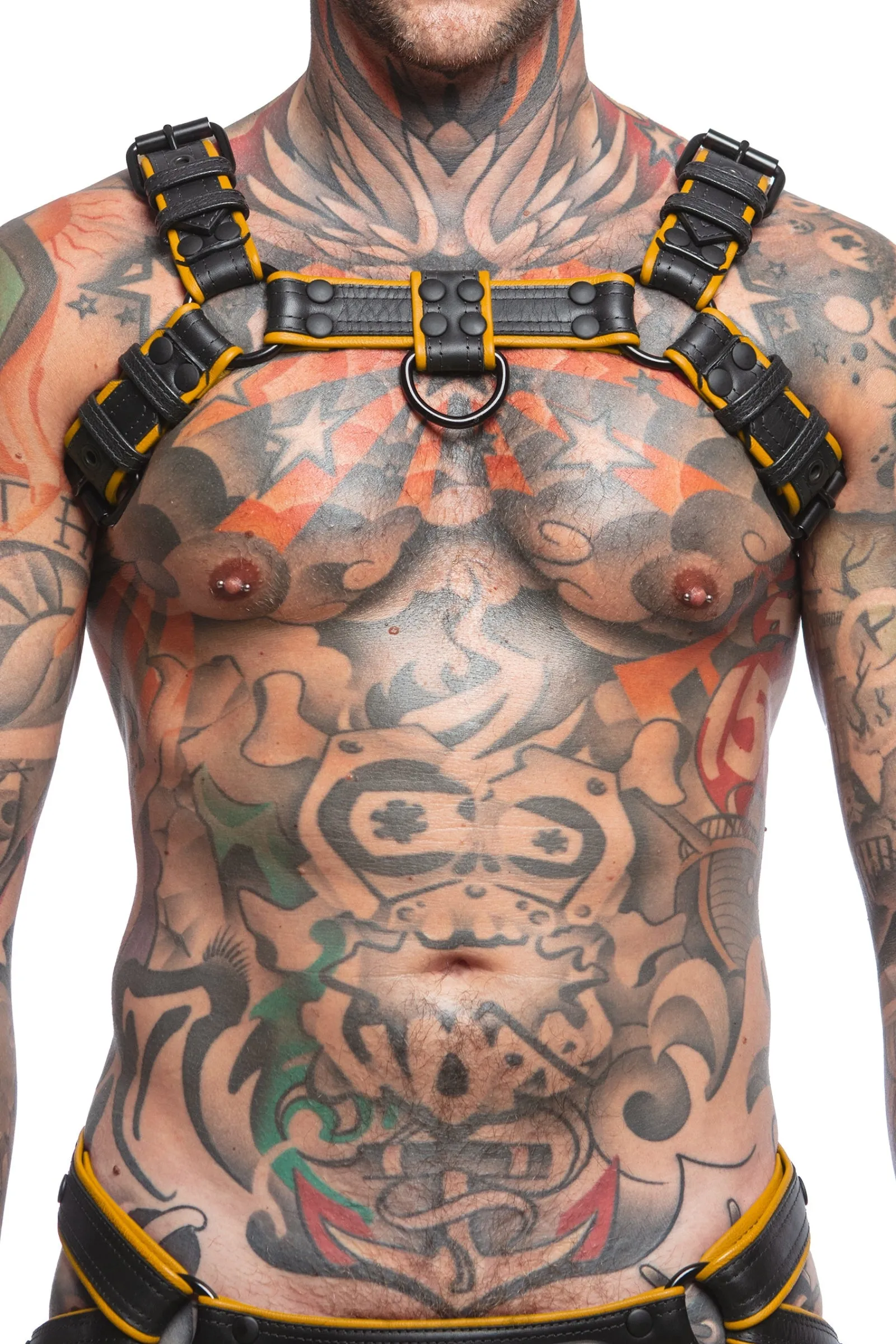 COMBAT BULLDOG - Colour