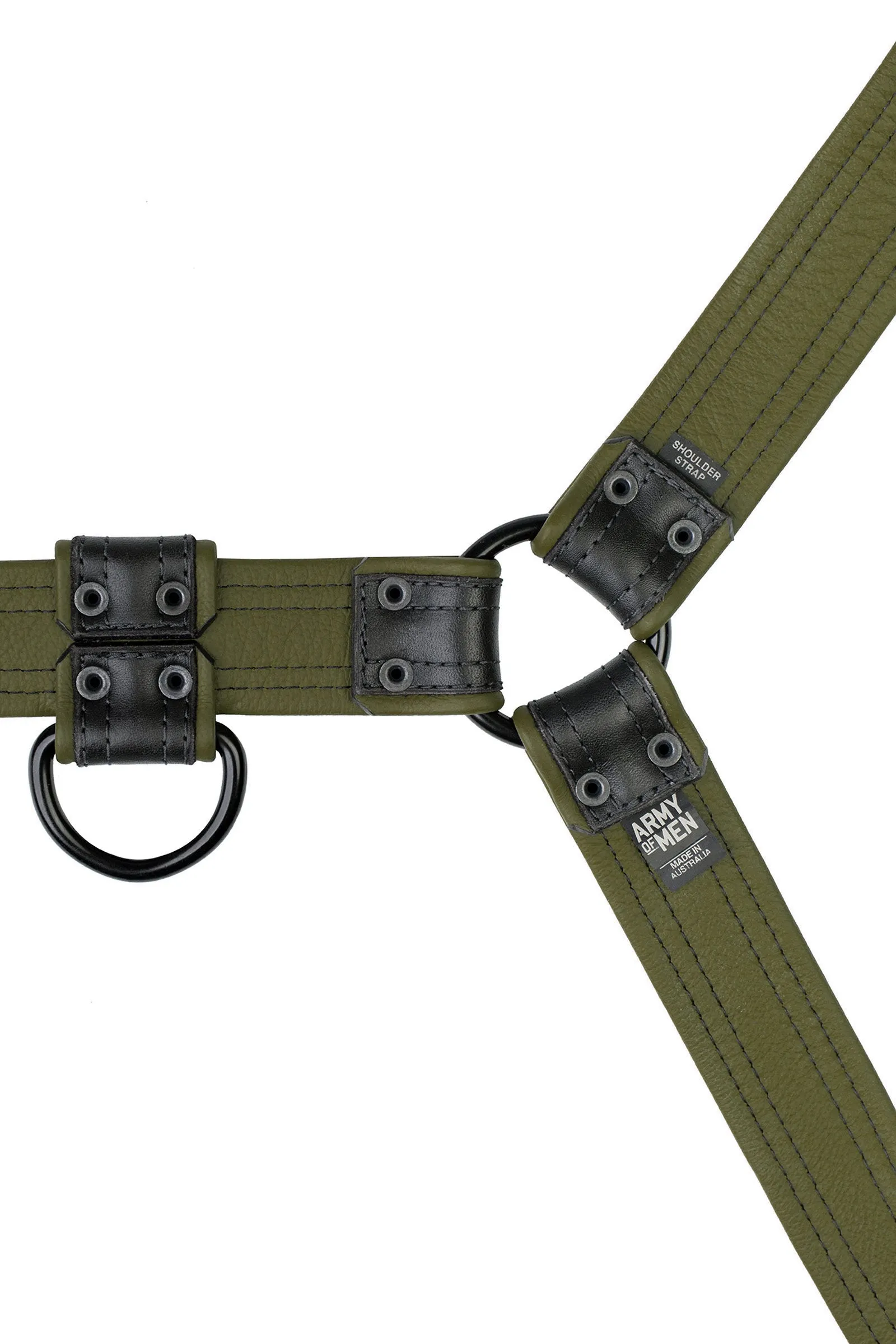 COMBAT BULLDOG - Colour