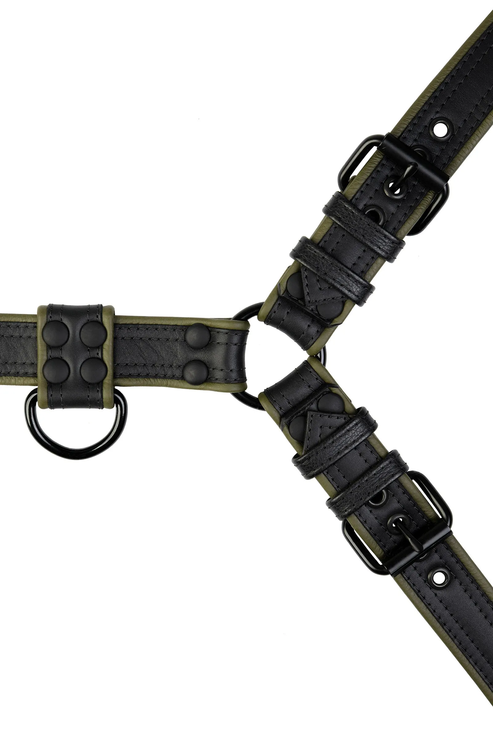 COMBAT BULLDOG - Colour