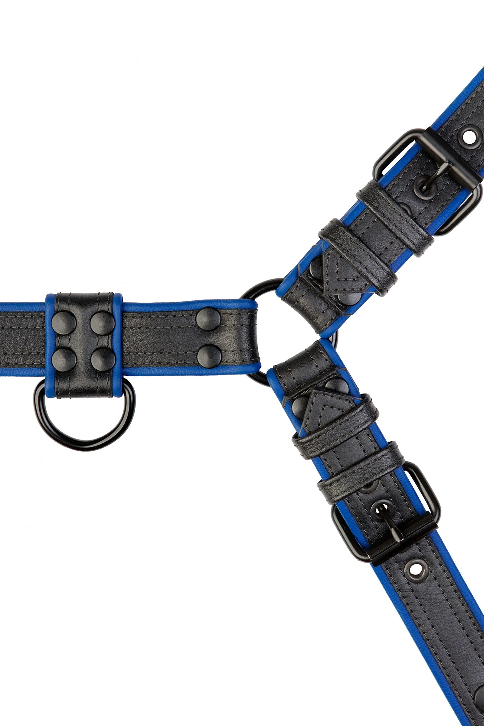 COMBAT BULLDOG - Colour