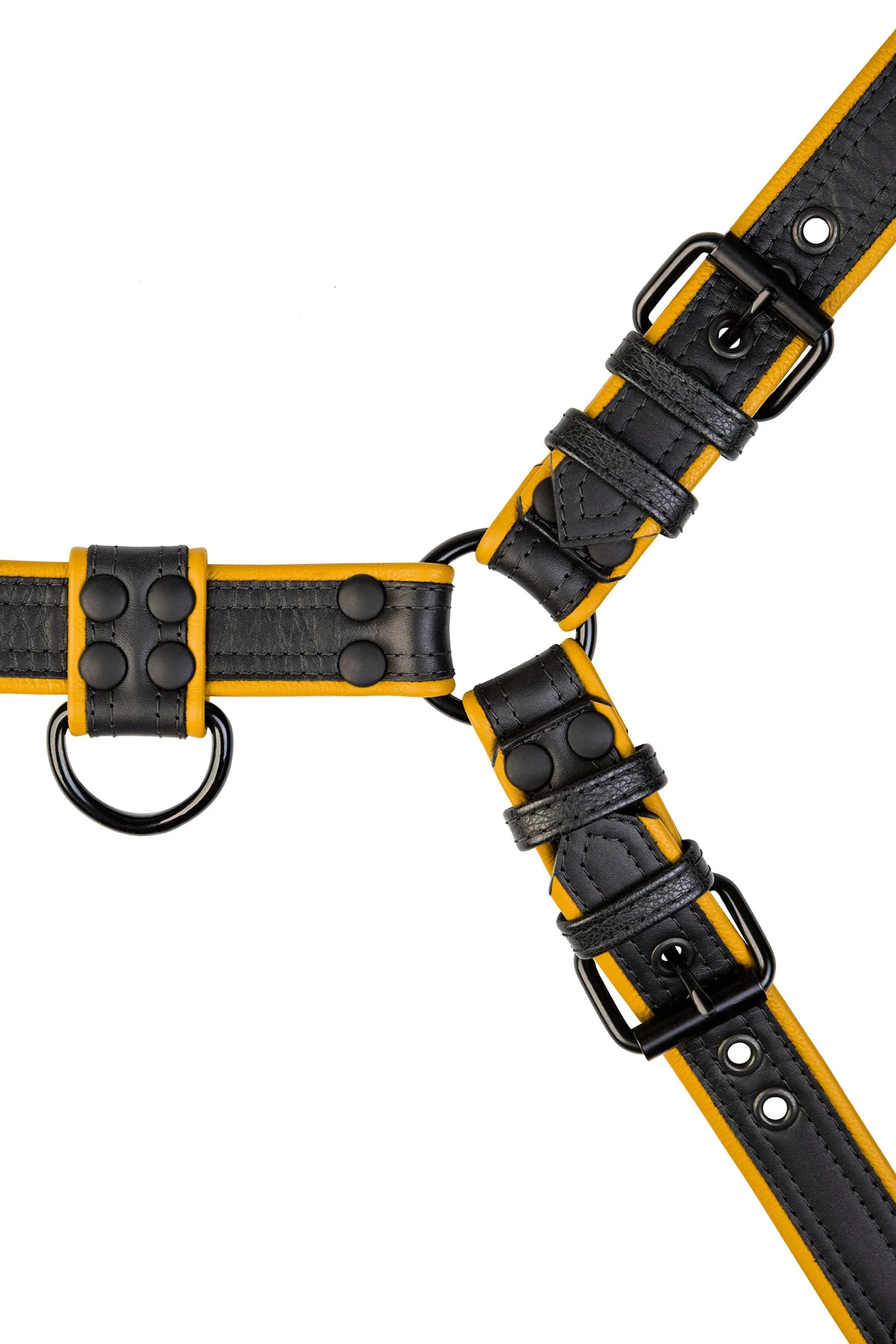 COMBAT BULLDOG - Colour