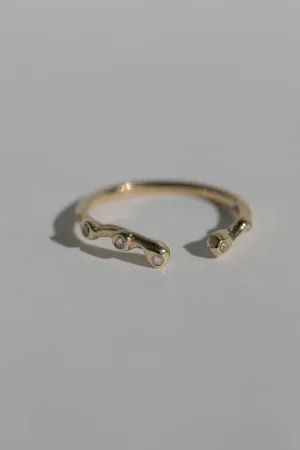 Eden Ring