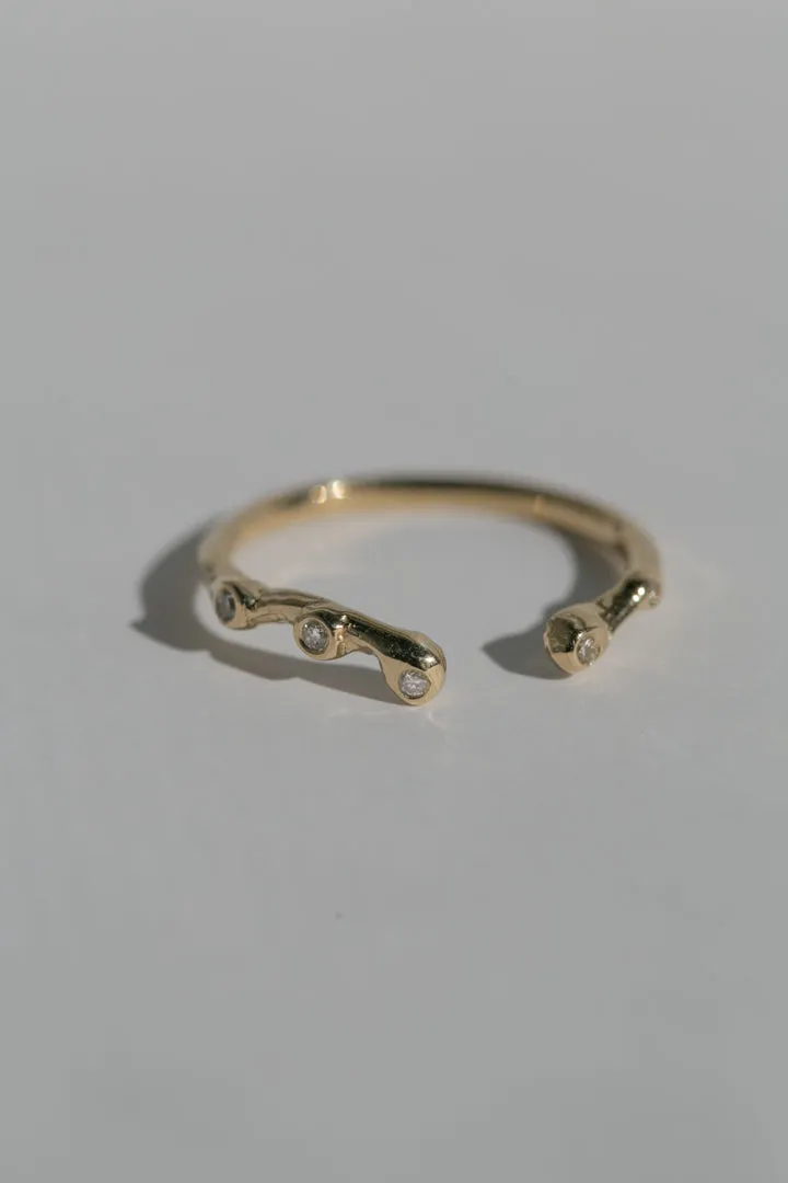 Eden Ring