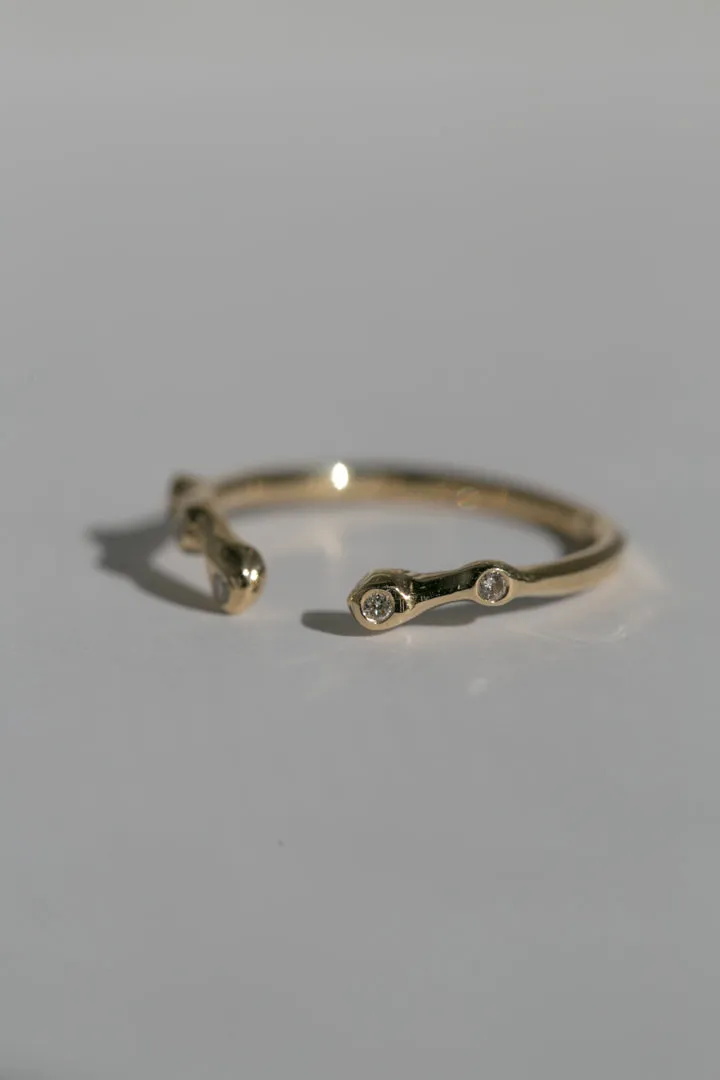 Eden Ring