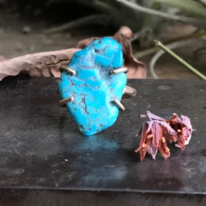 Equinox Ring