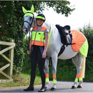 Equisafety Multi Coloured Hi Vis Horse Summer Sheet - Y/O