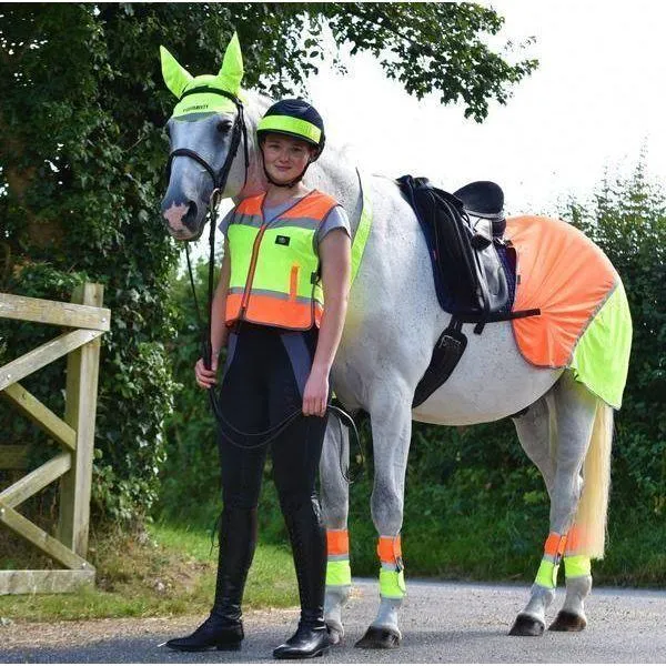 Equisafety Multi Coloured Hi Vis Horse Summer Sheet - Y/O