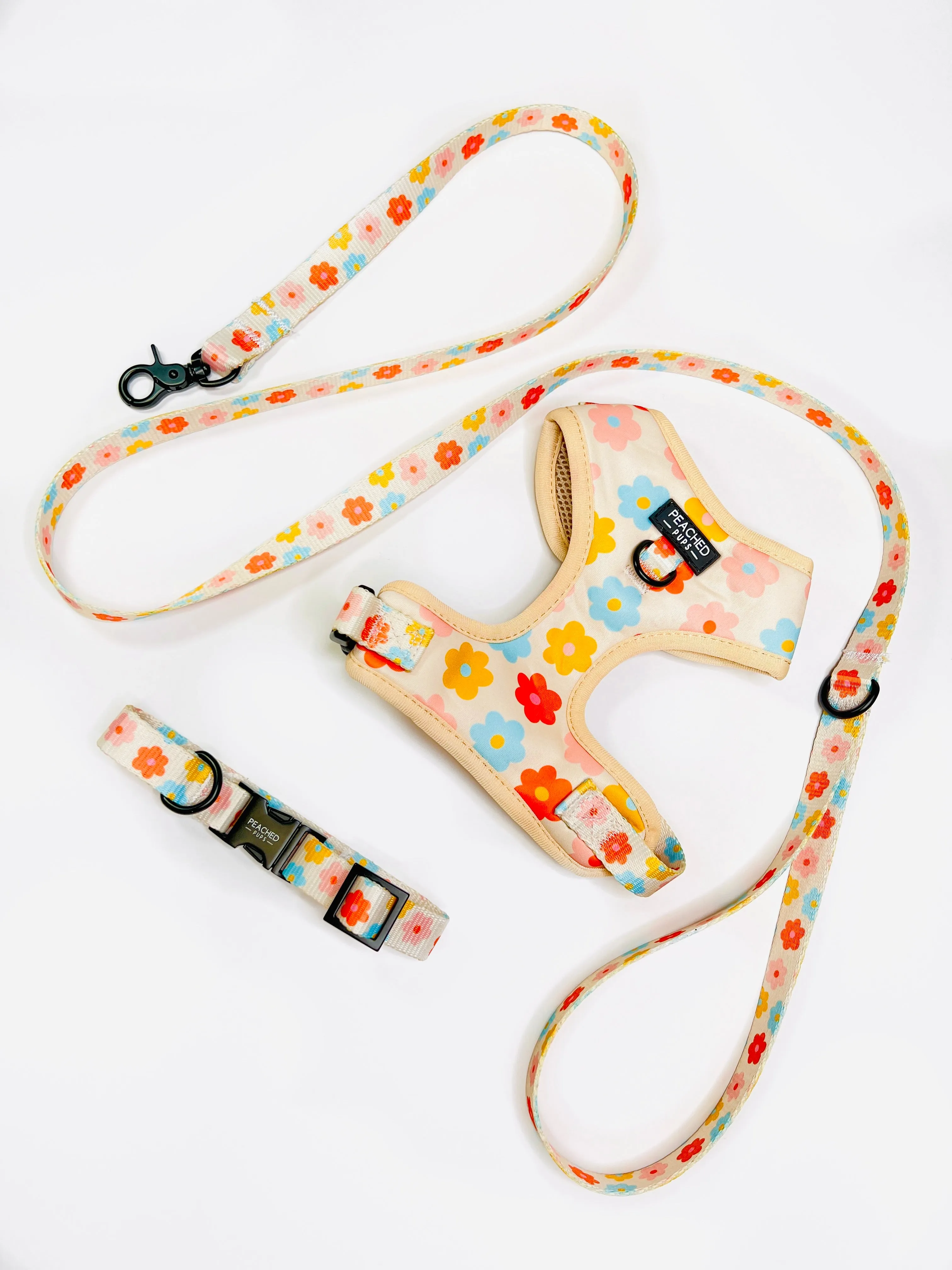 Floral Bloom - Adjustable Dog Harness