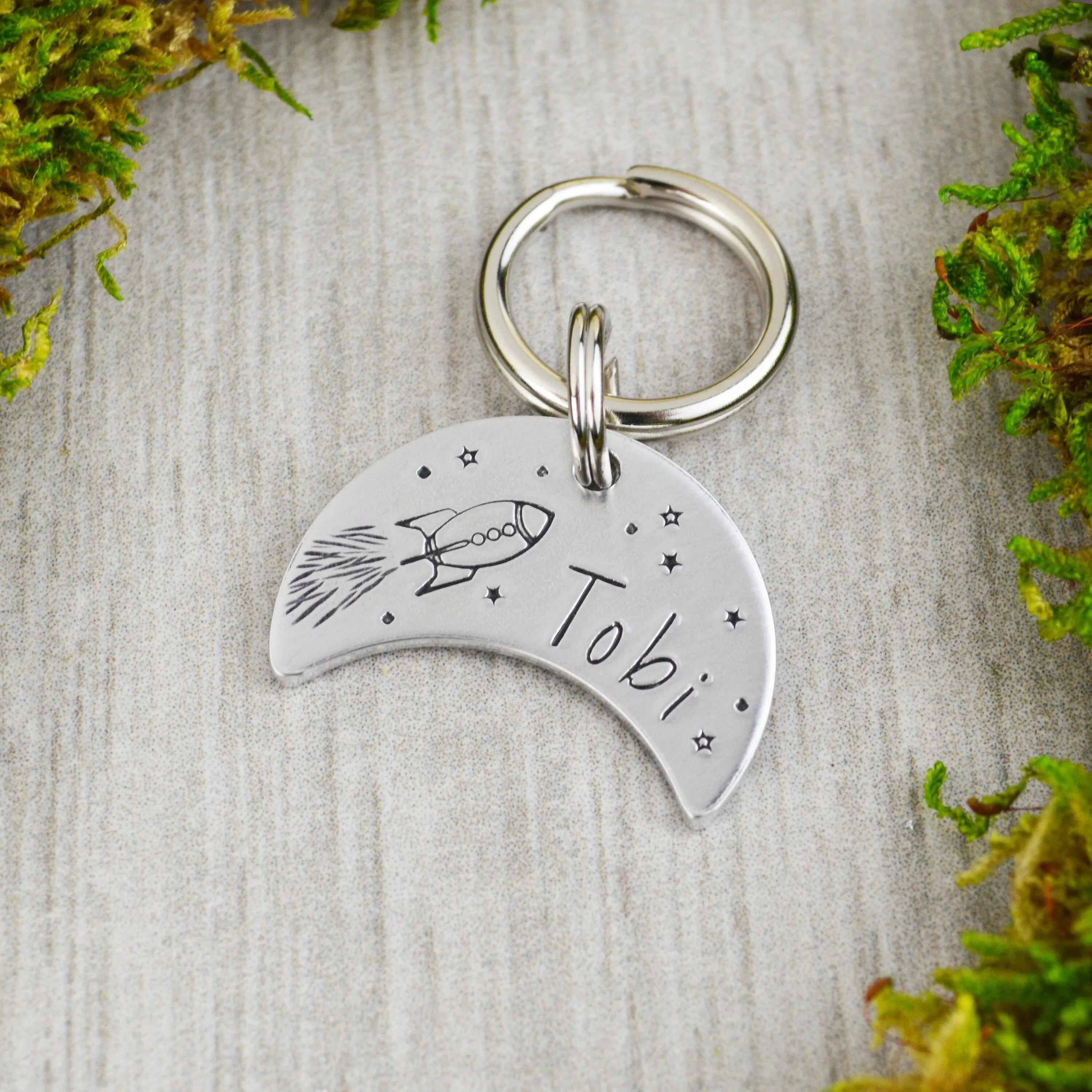 Fly Me To The Moon Pet ID Tag