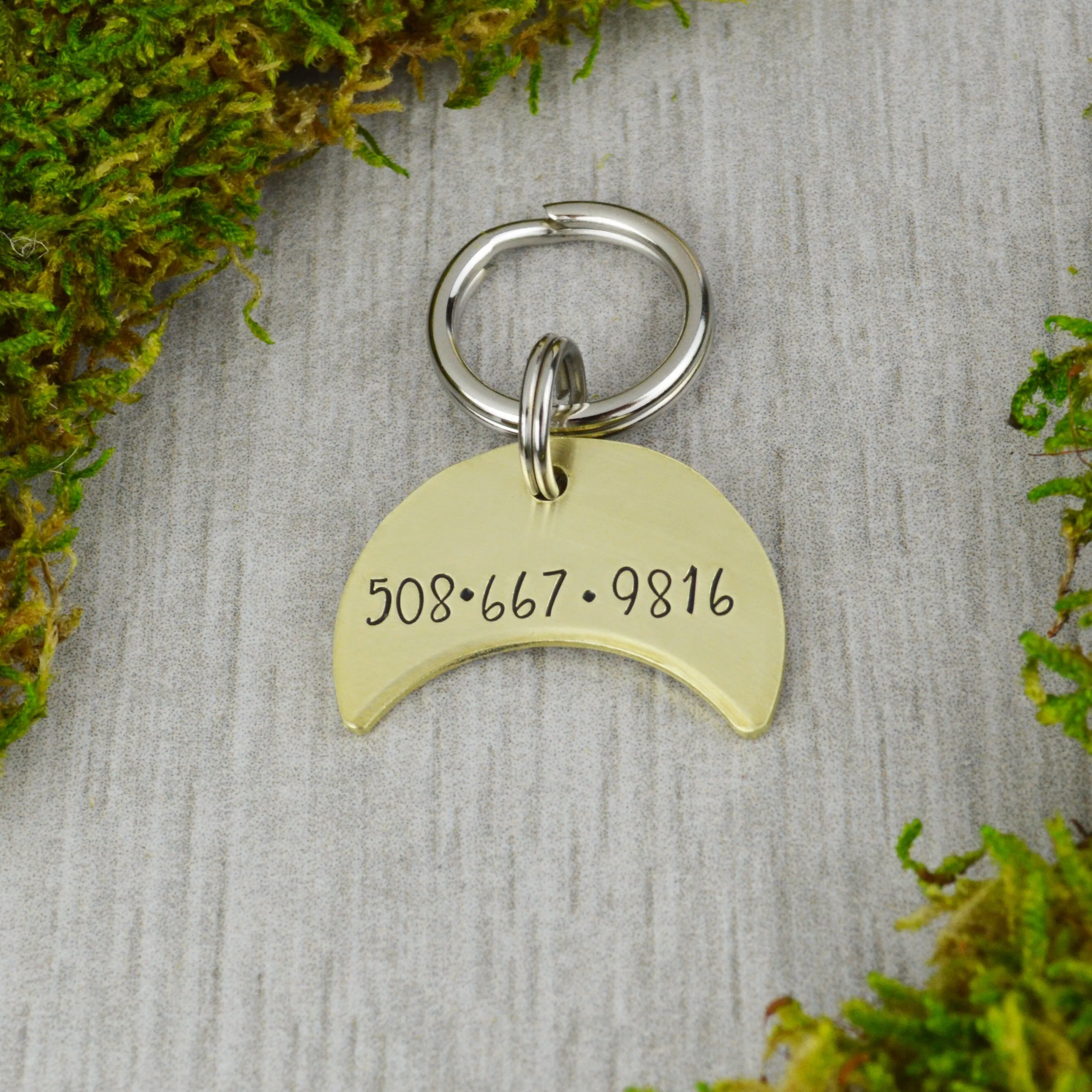 Fly Me To The Moon Pet ID Tag
