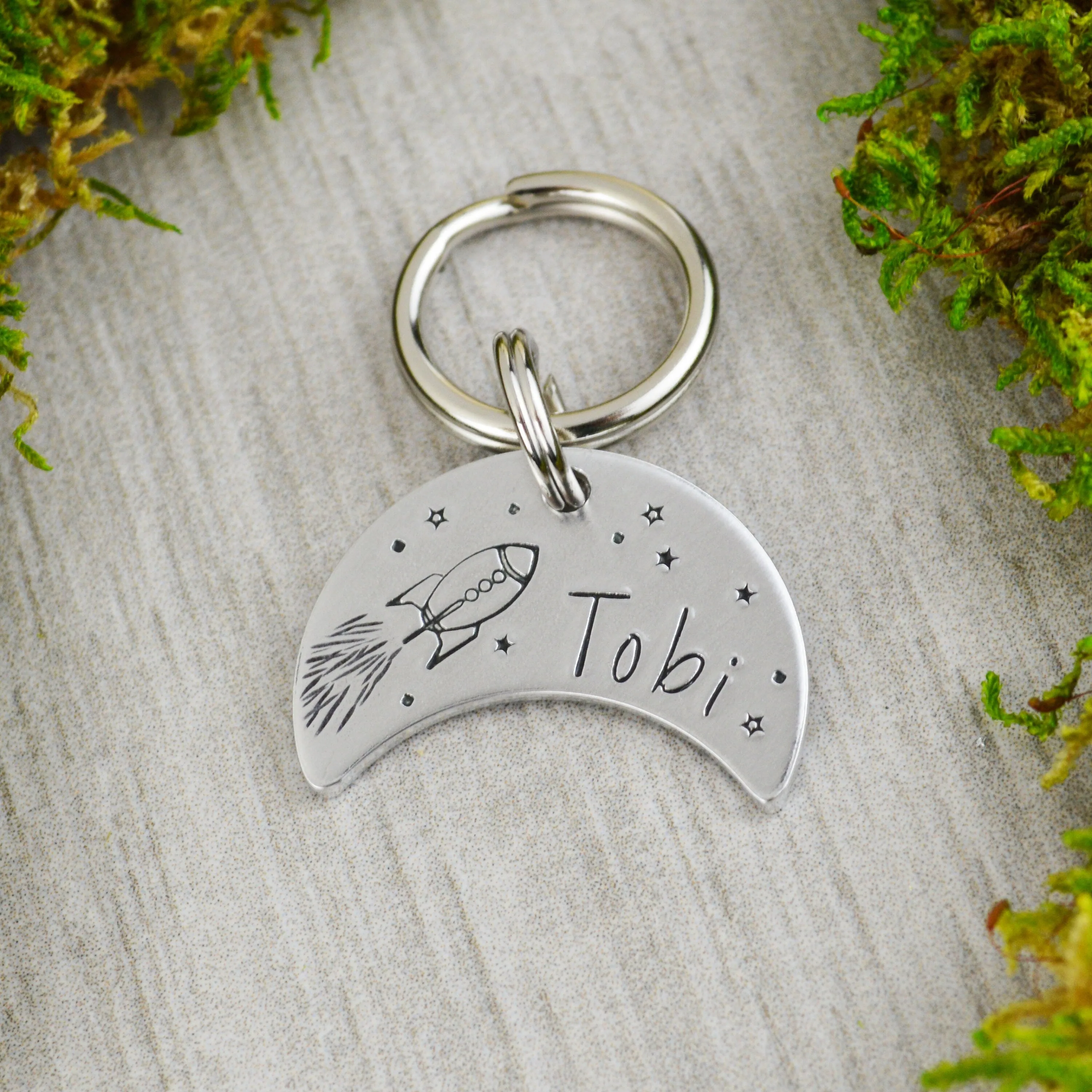 Fly Me To The Moon Pet ID Tag