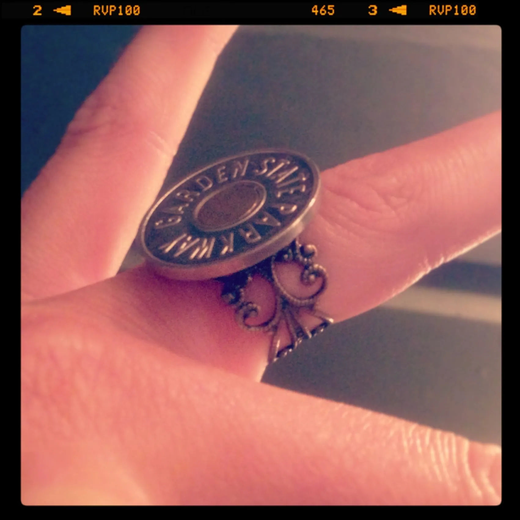 Garden State Parkway Token Ring - FILIGREE COLORS