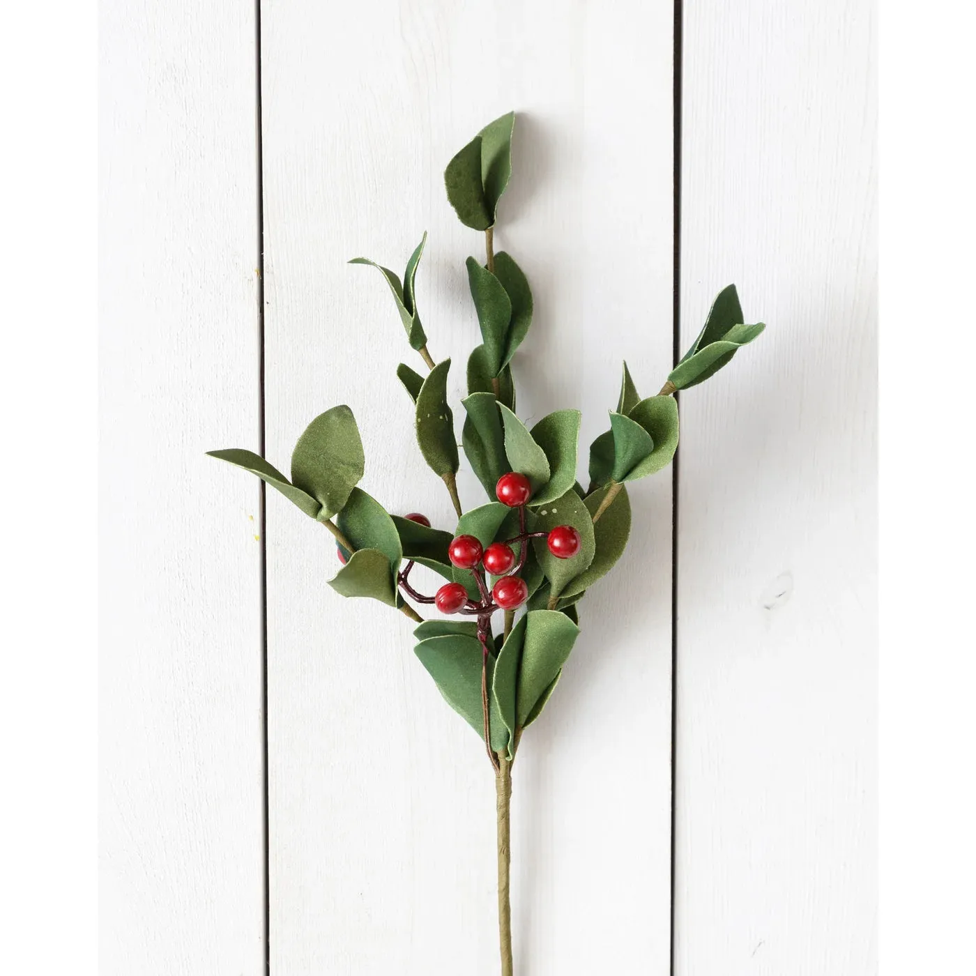 Green Sprigs With Berries