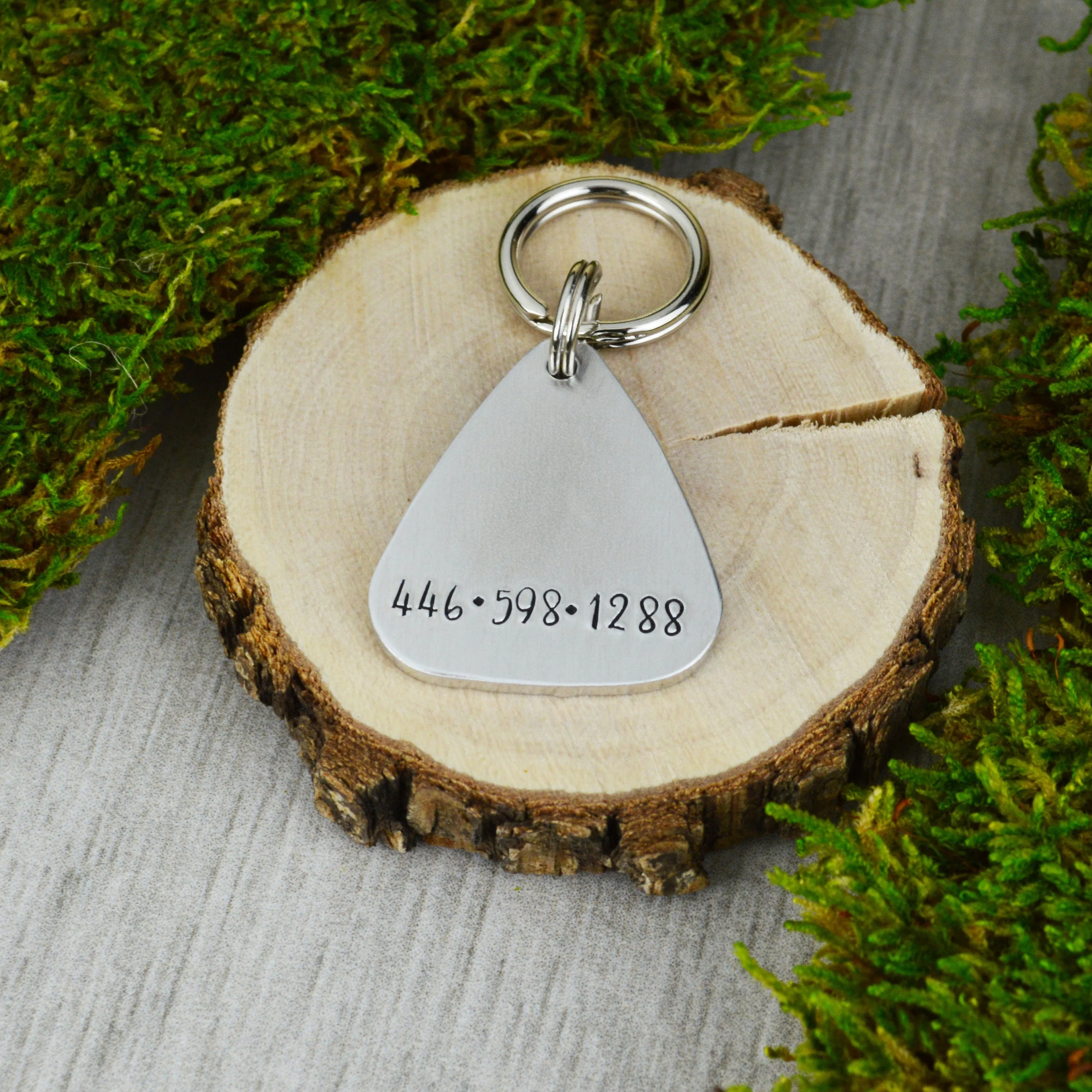 Kismet Pet ID Tag