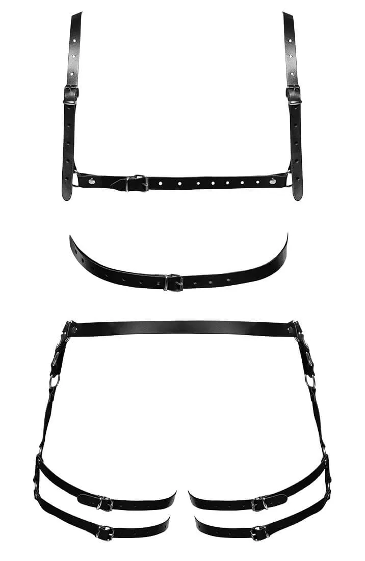 Men's leather harness set - Raw Power