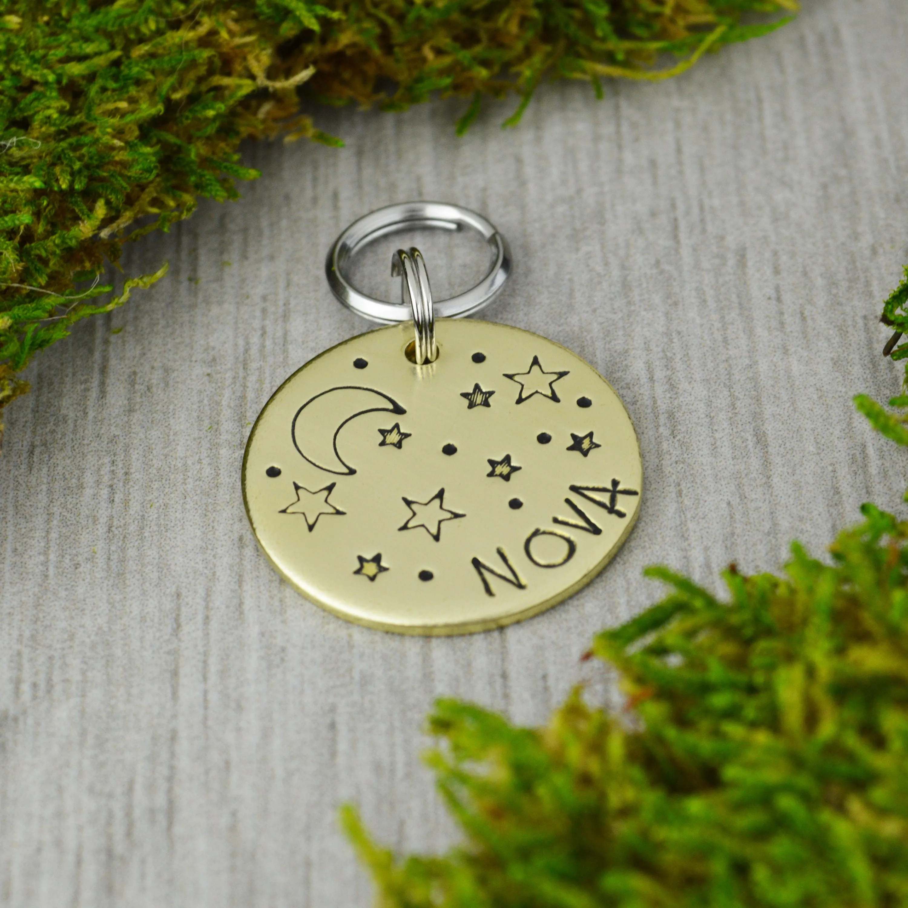 Moonlit Night Pet ID Tag