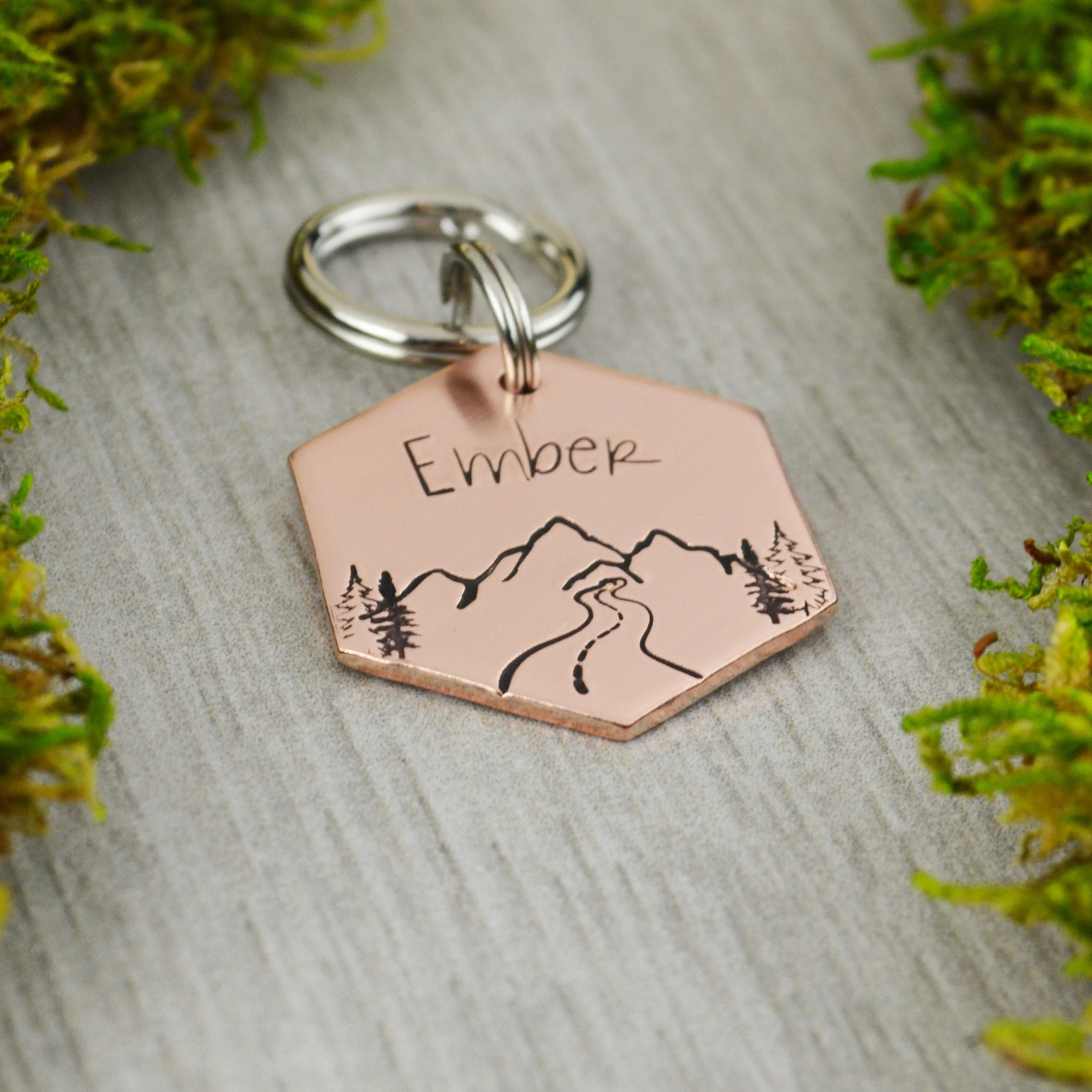 Mountain Pass Pet ID Tag