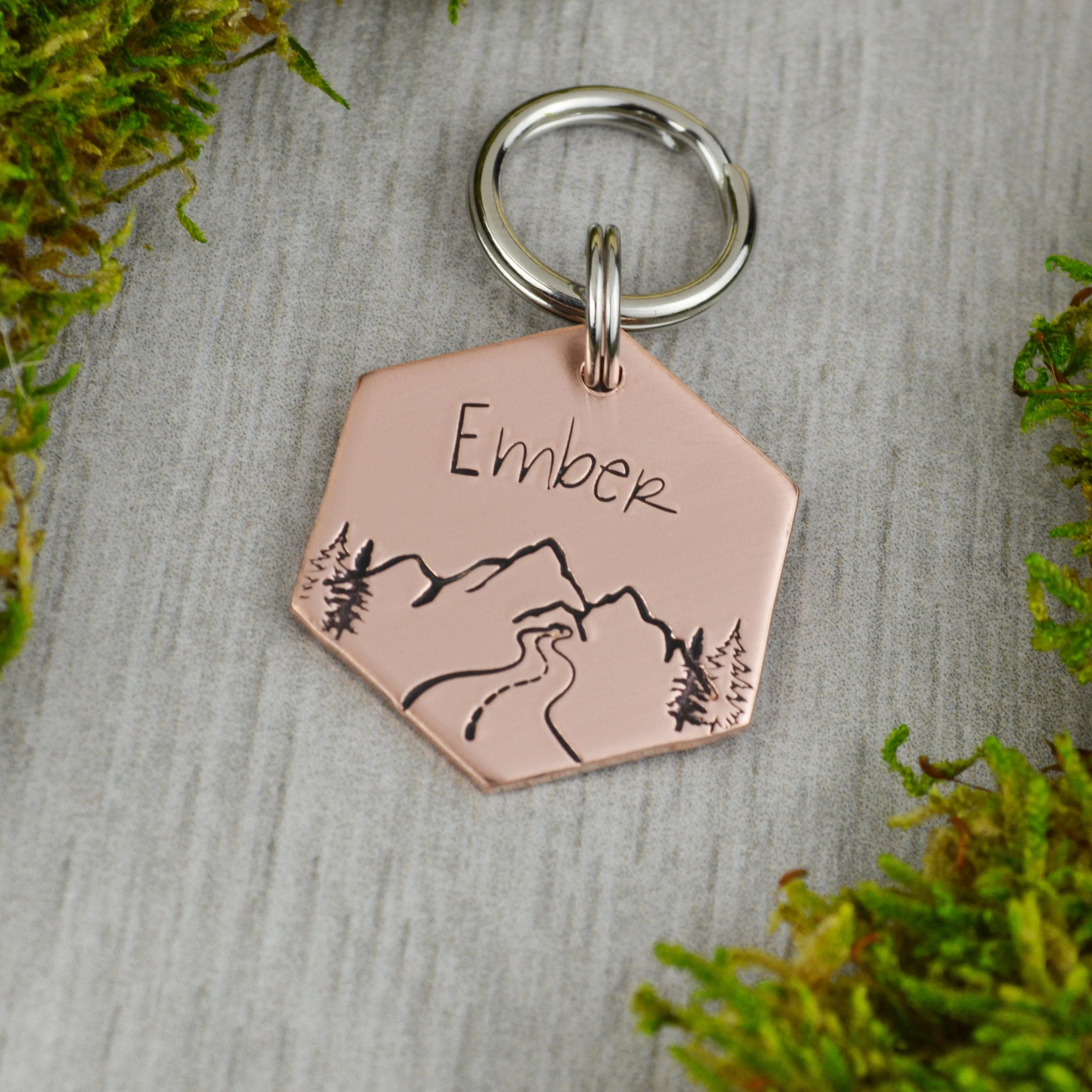 Mountain Pass Pet ID Tag