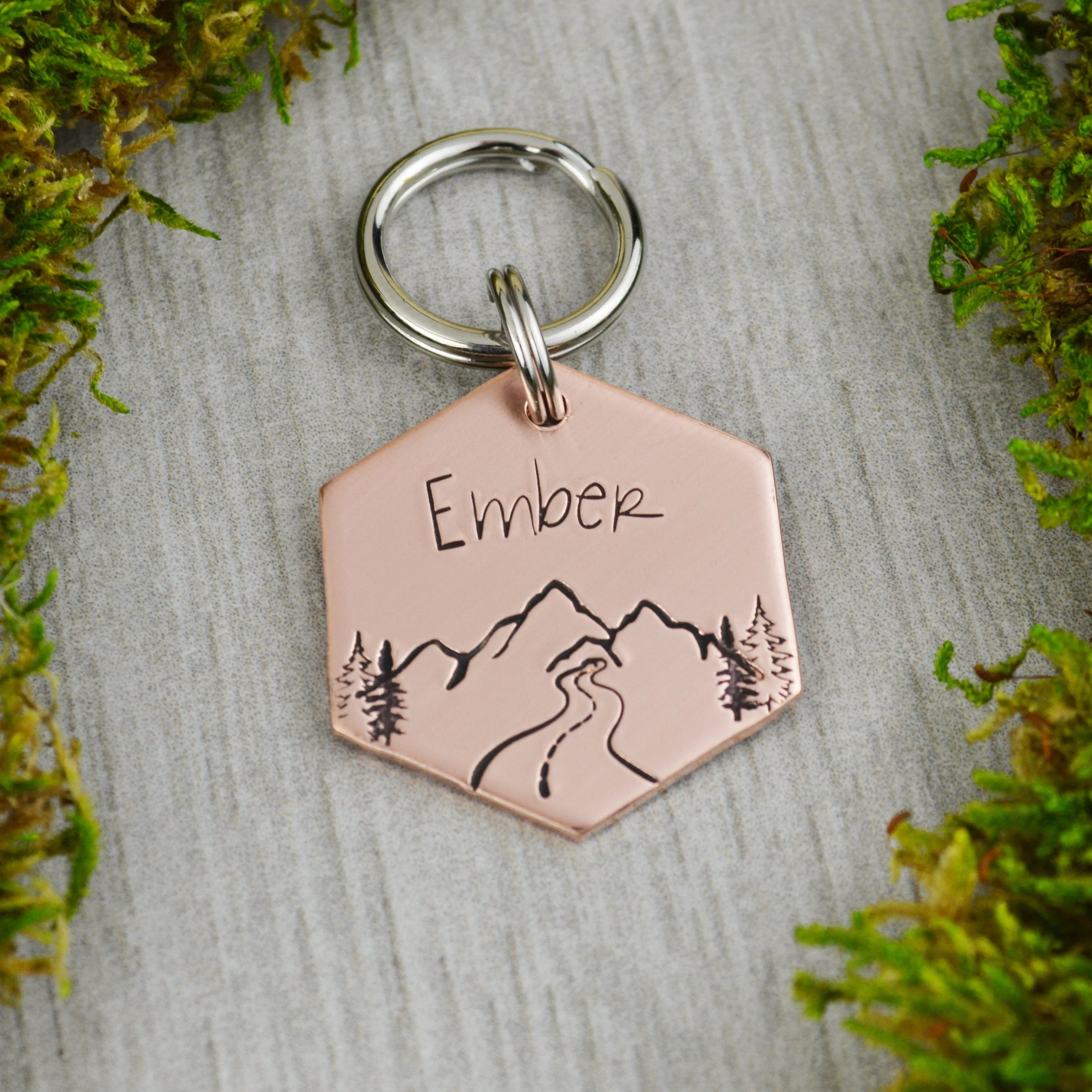 Mountain Pass Pet ID Tag