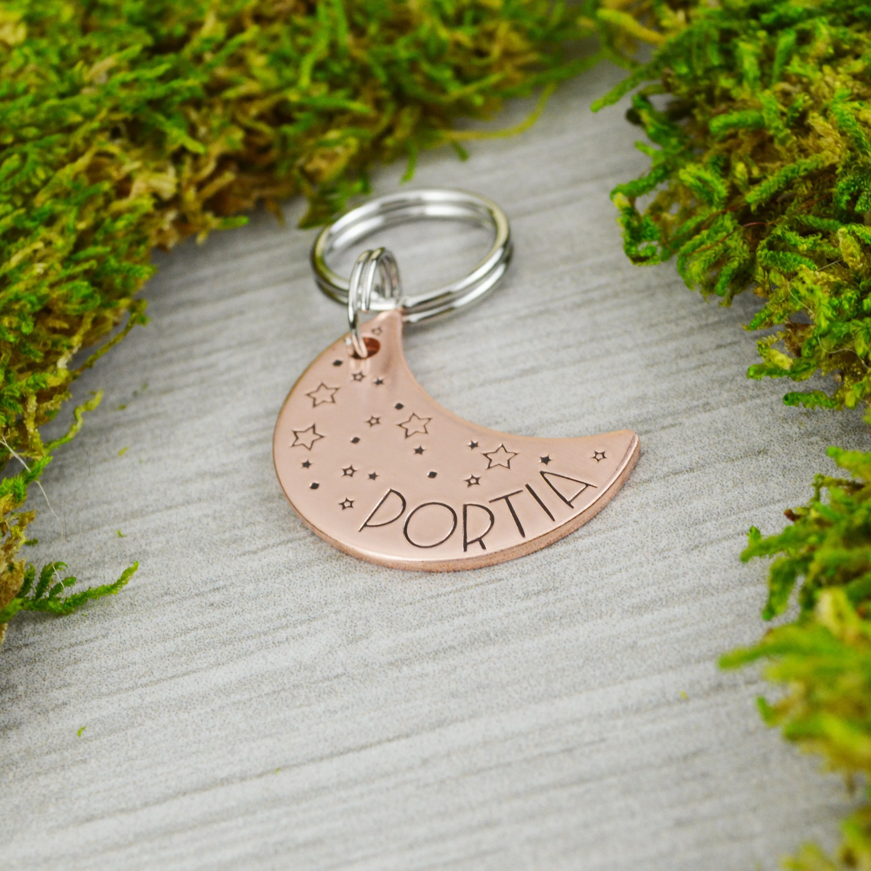 Night Moon Pet ID Tag