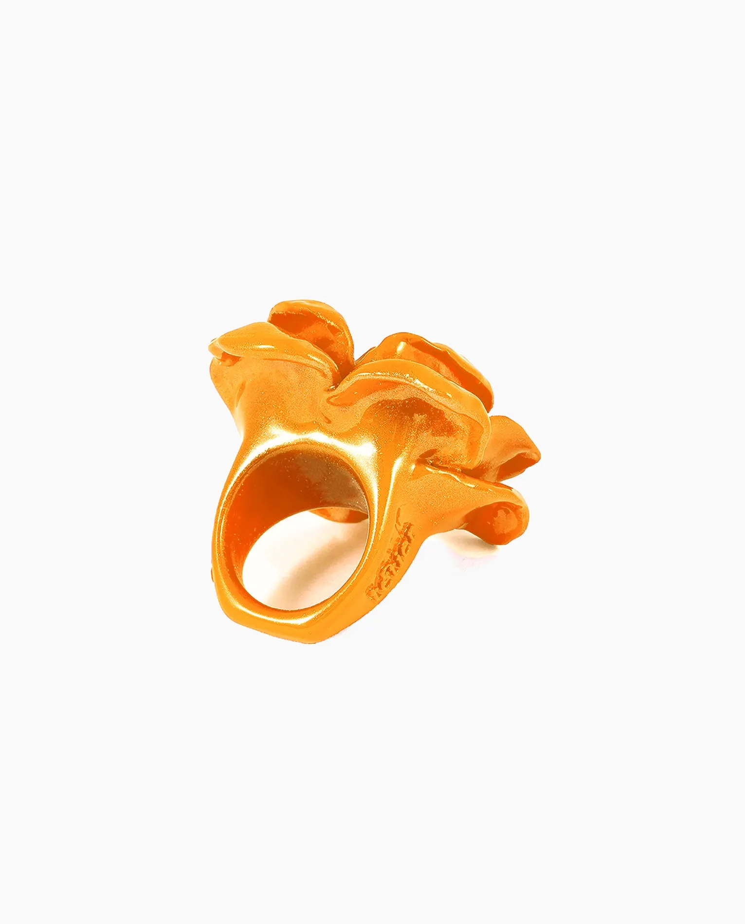 Orange Rose