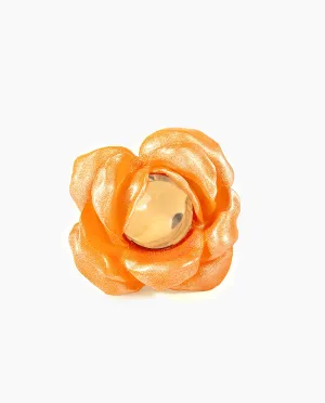 Orange Rose
