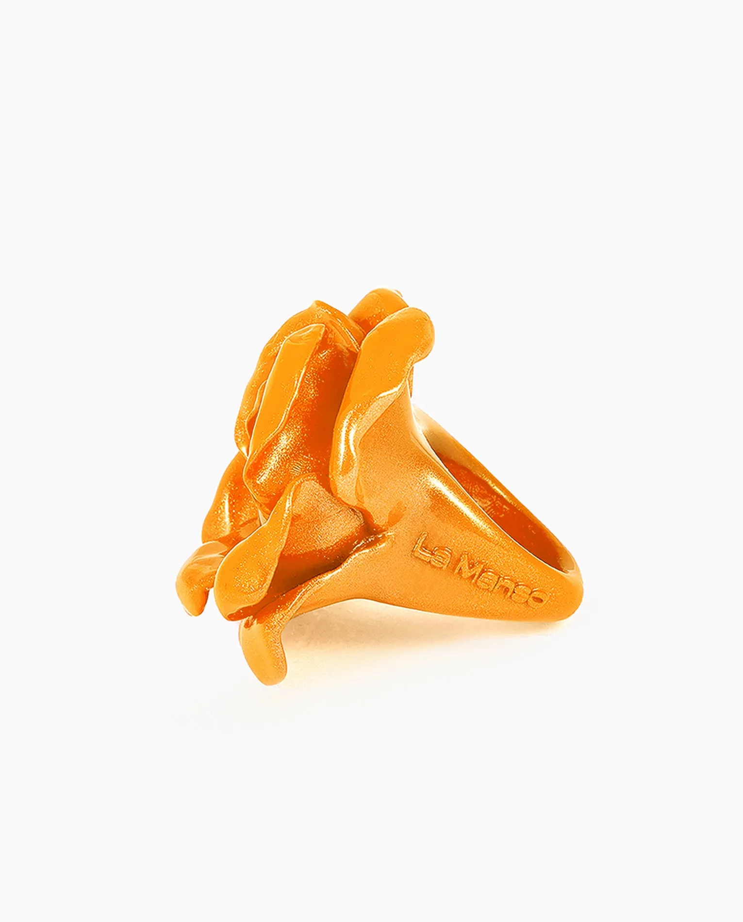 Orange Rose