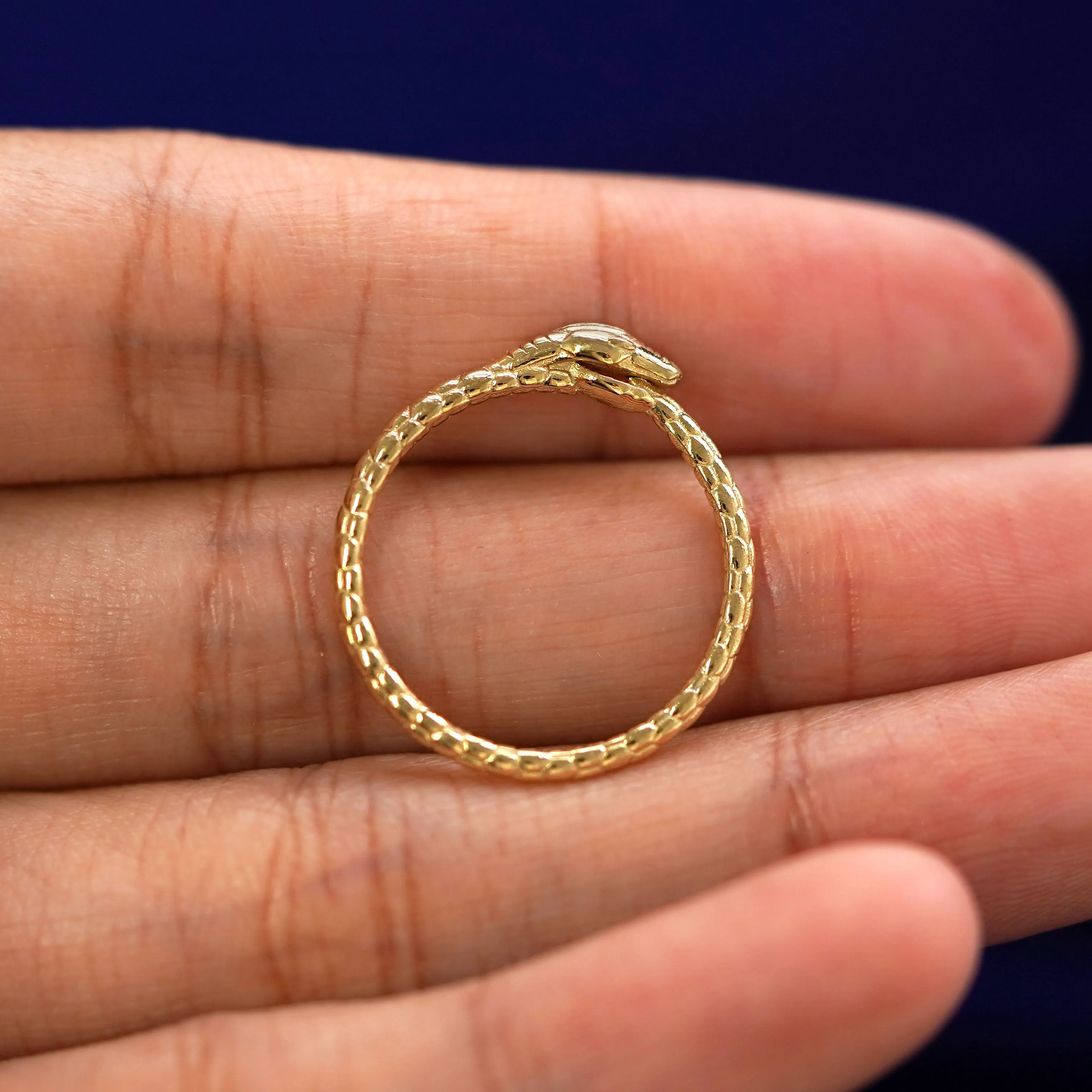 Ouroboros Snake Ring