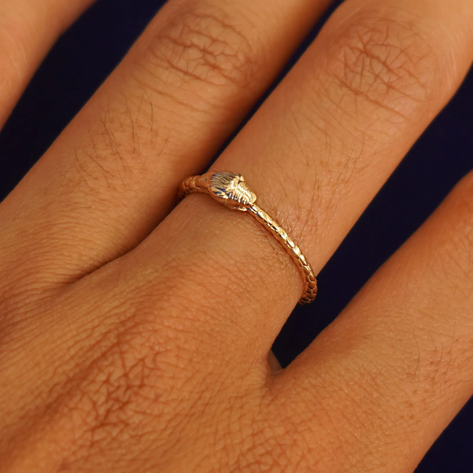 Ouroboros Snake Ring