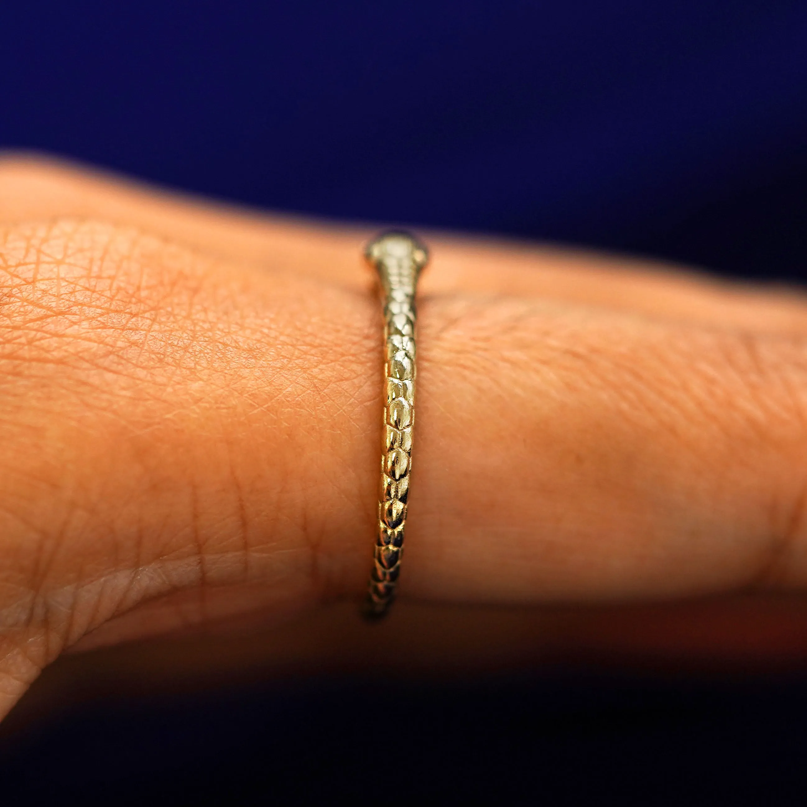Ouroboros Snake Ring