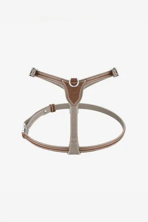 PAGERIE | THE PETITE XS